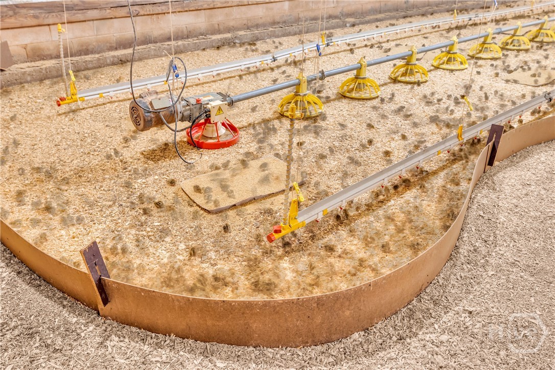 0 Joan Smith Road, Hull, GA, 30646