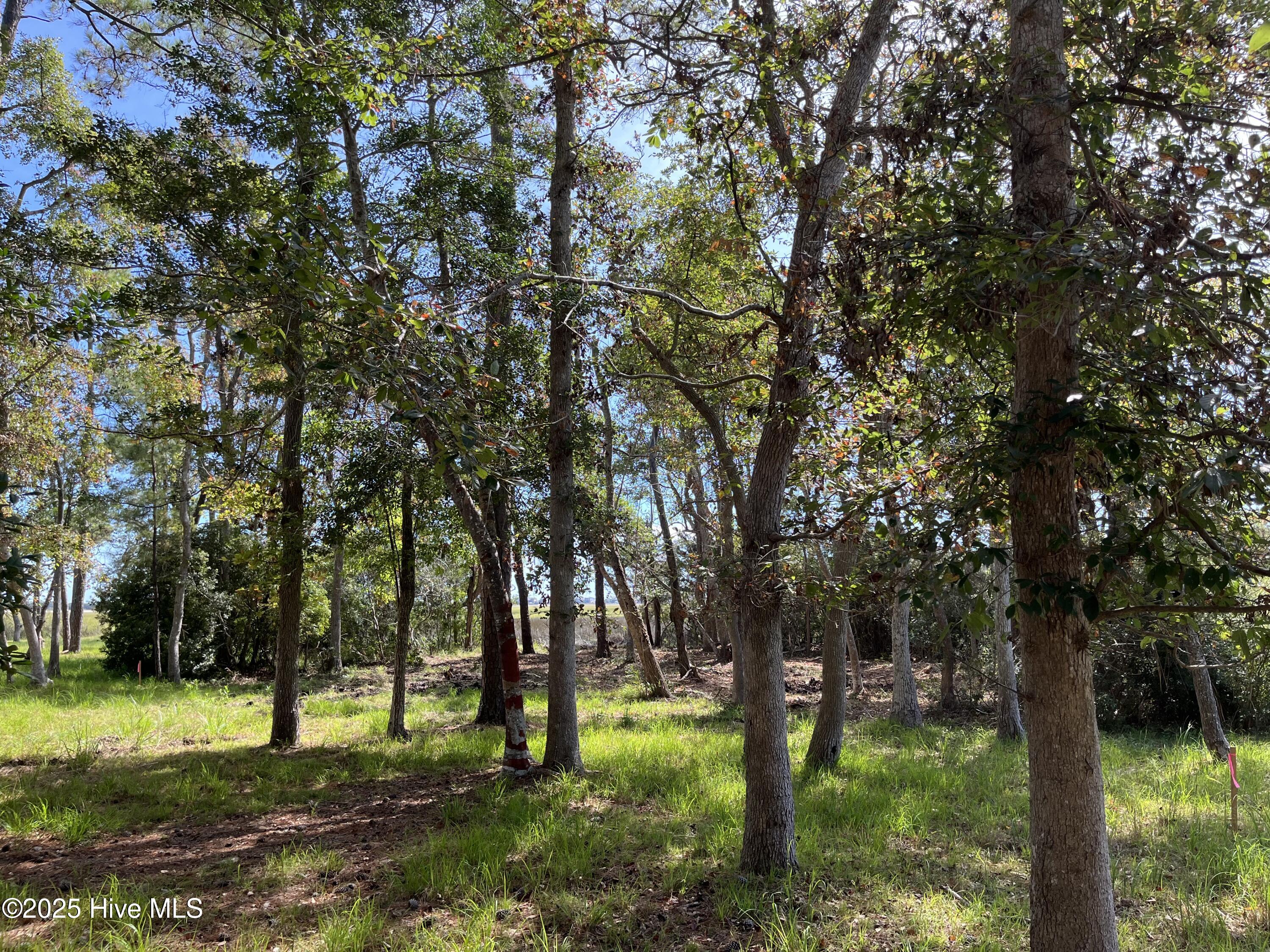 100533806 | Photo 13