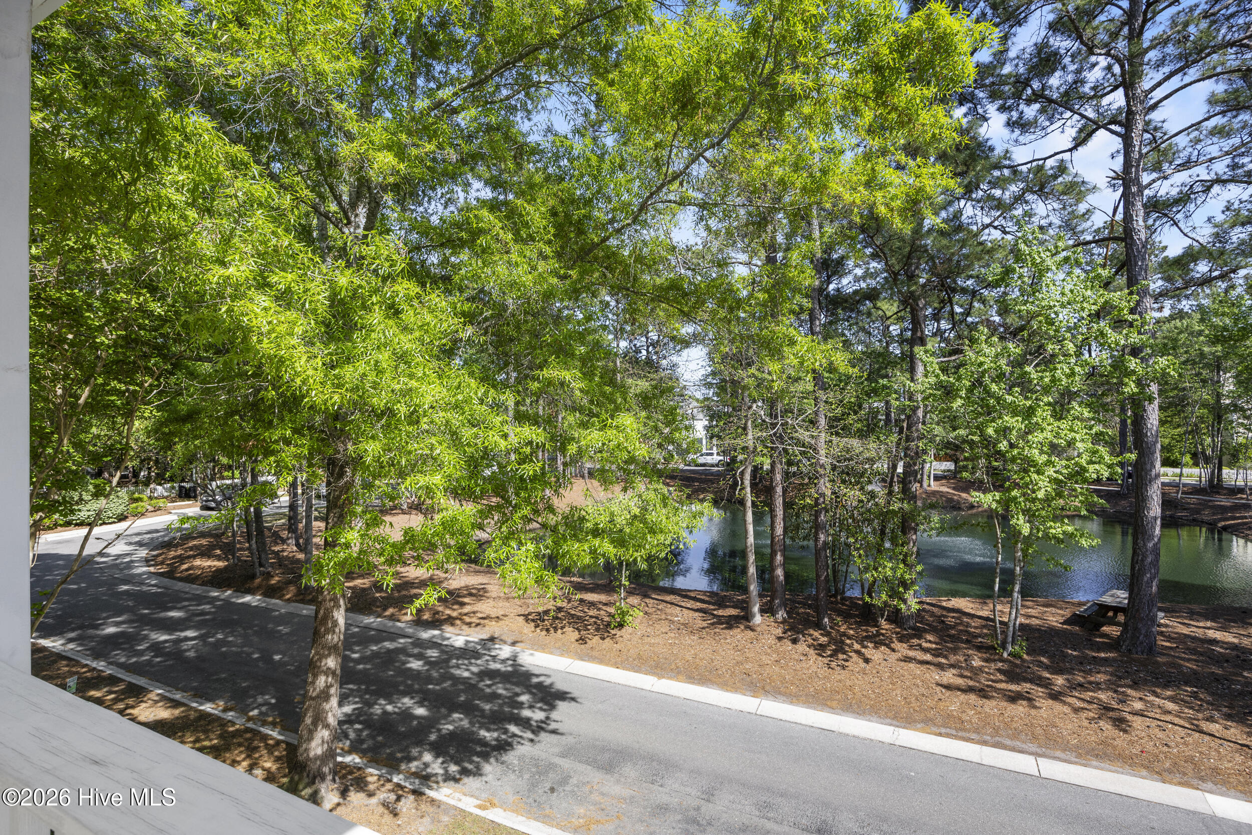 100567913 | Photo 39