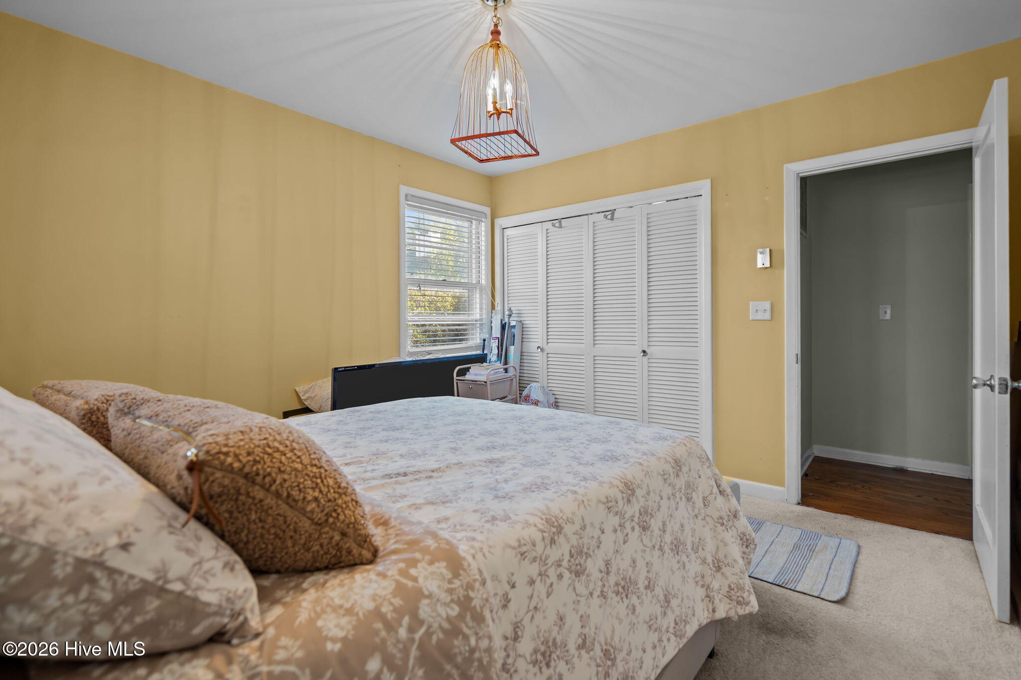 100525803 | Photo 28