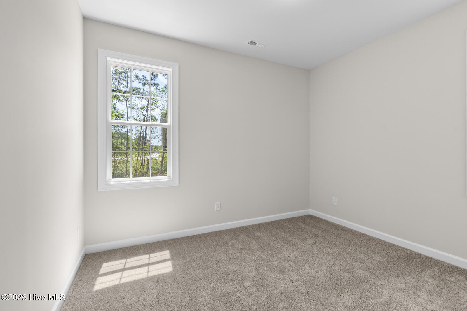 100553181 | Photo 22