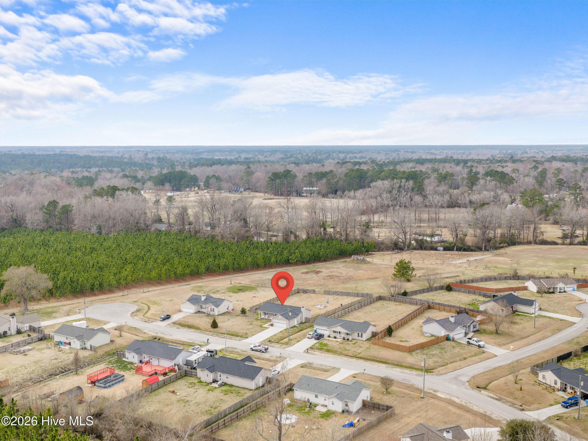 100556892 | Photo 43