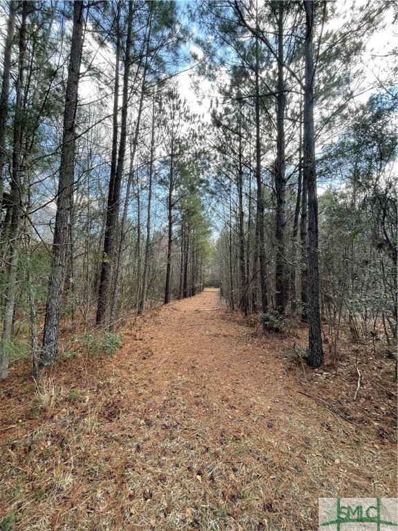 0 FISH Road, Newington, GA, 30446