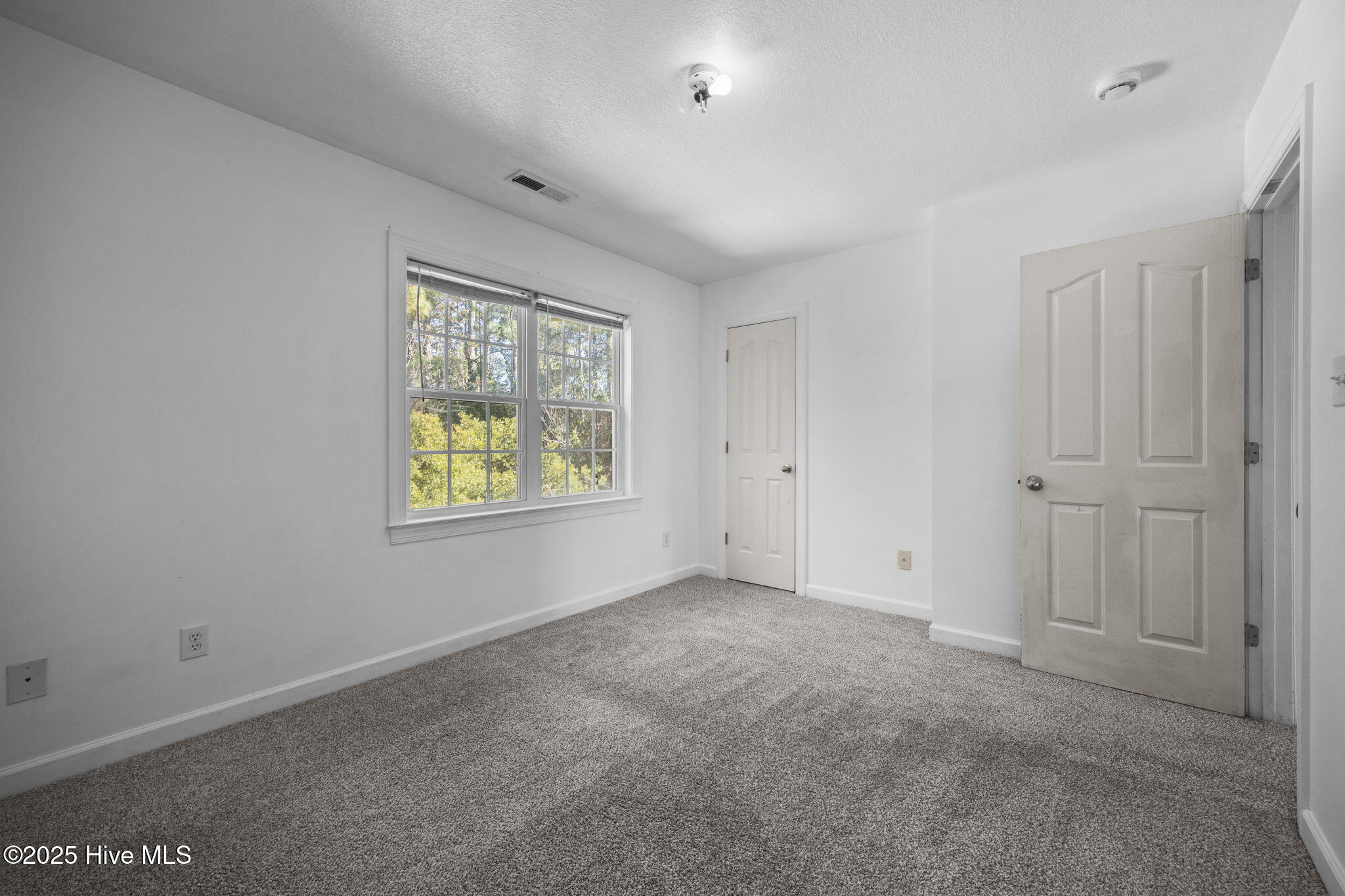 100544905 | Photo 17