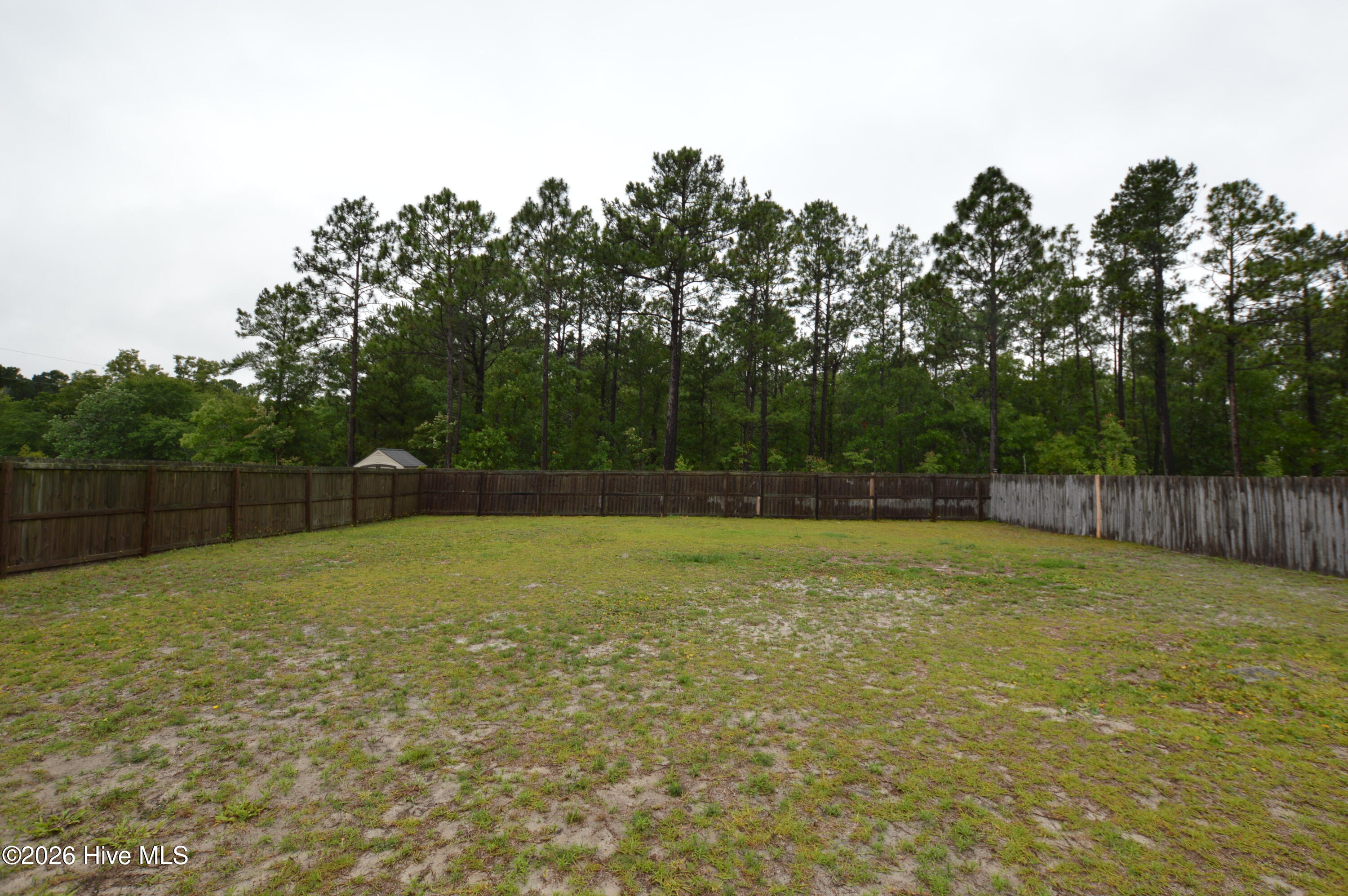 100559165 | Photo 17