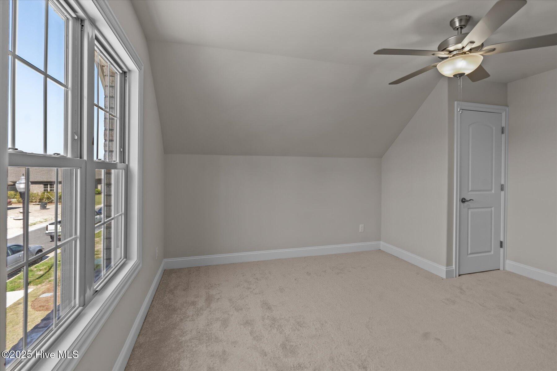 100501271 | Photo 21