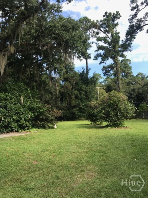 17 Piney Point Road, Savannah, GA 31410 Listing Photo  11