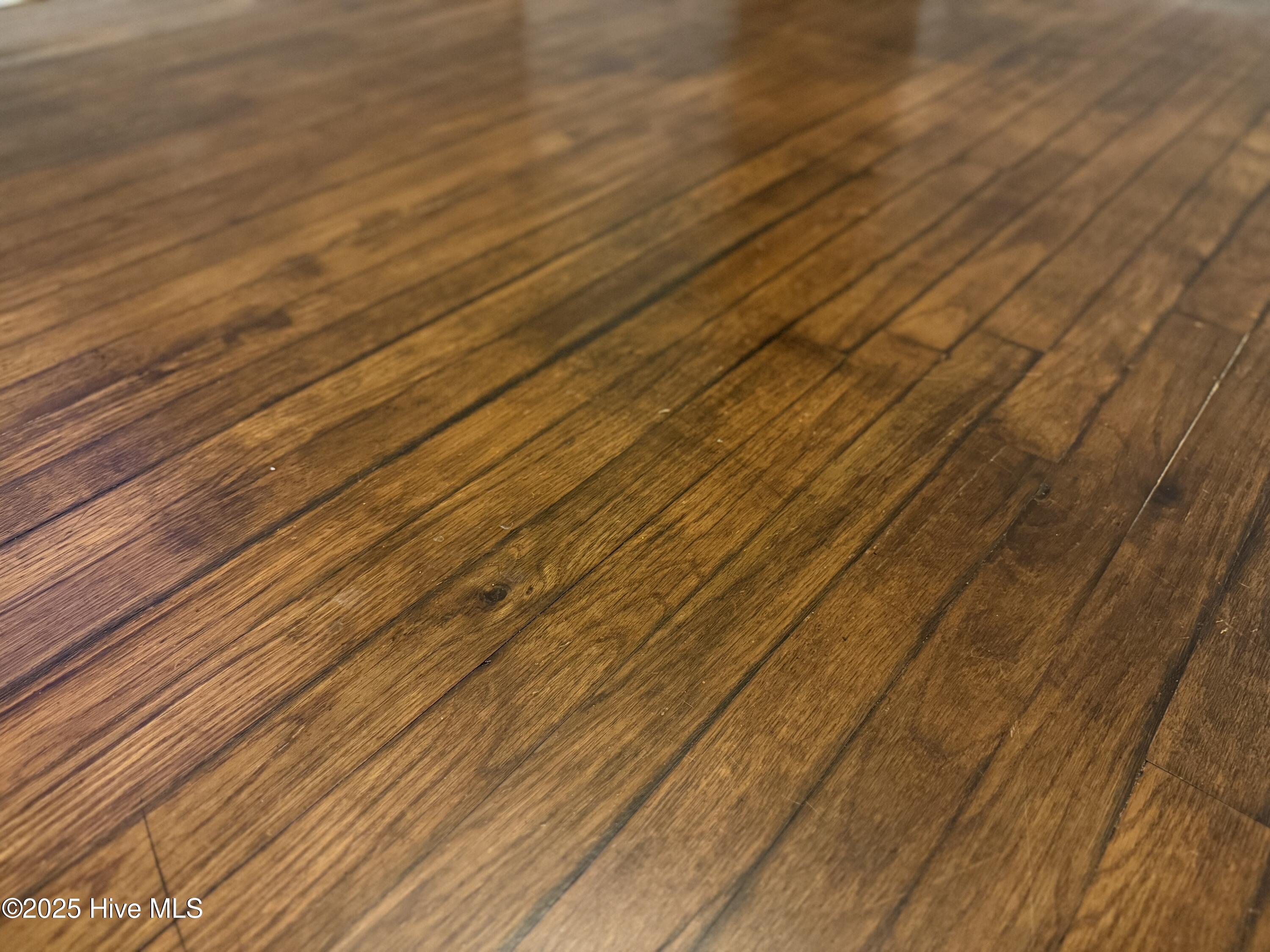 100537874 | Photo 10