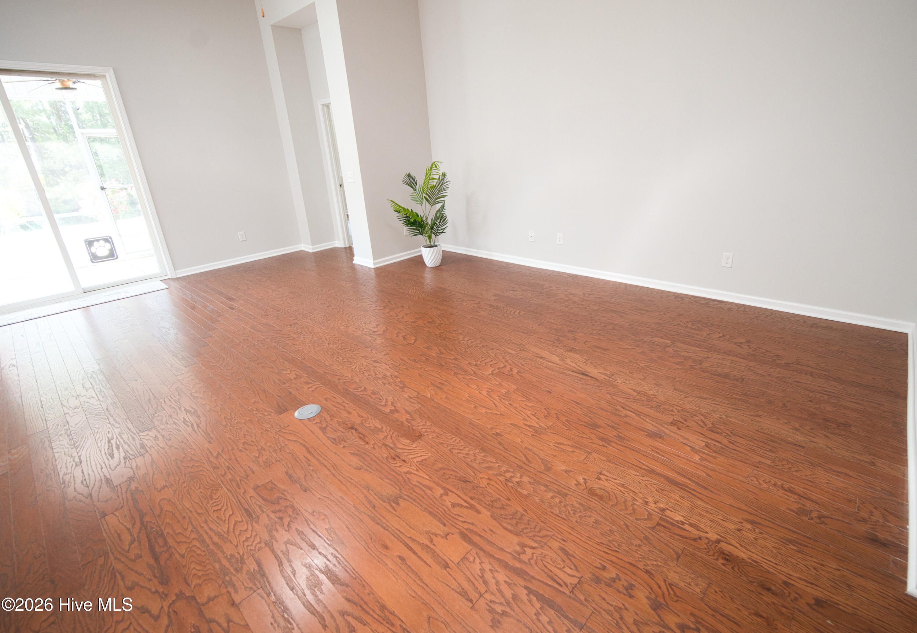 100569756 | Photo 42