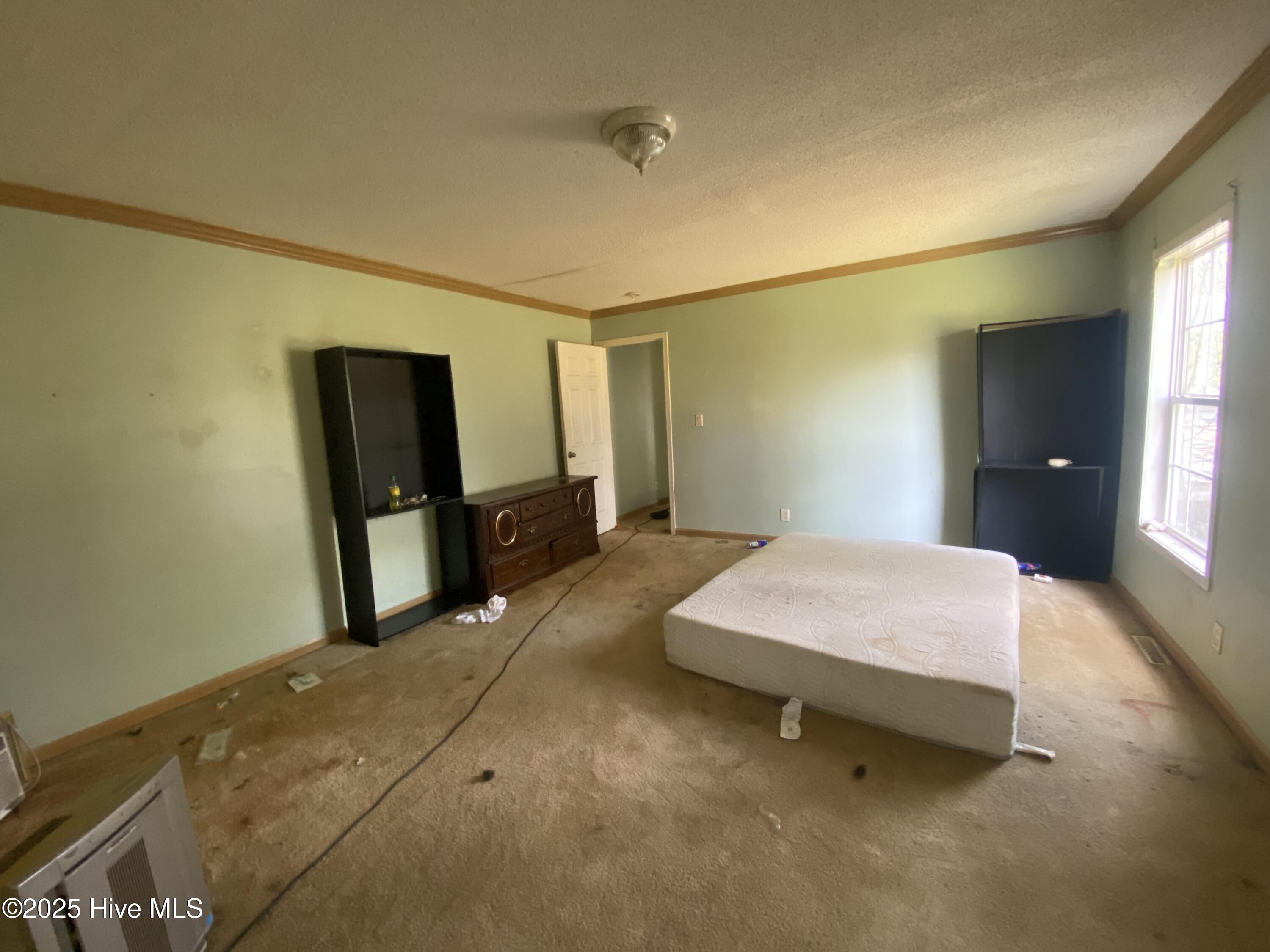 100543834 | Photo 11