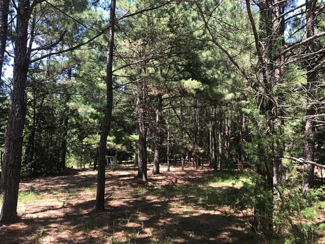 Lot 2 Guillebeau Road, Lincolnton, GA 30817 Listing Photo  1