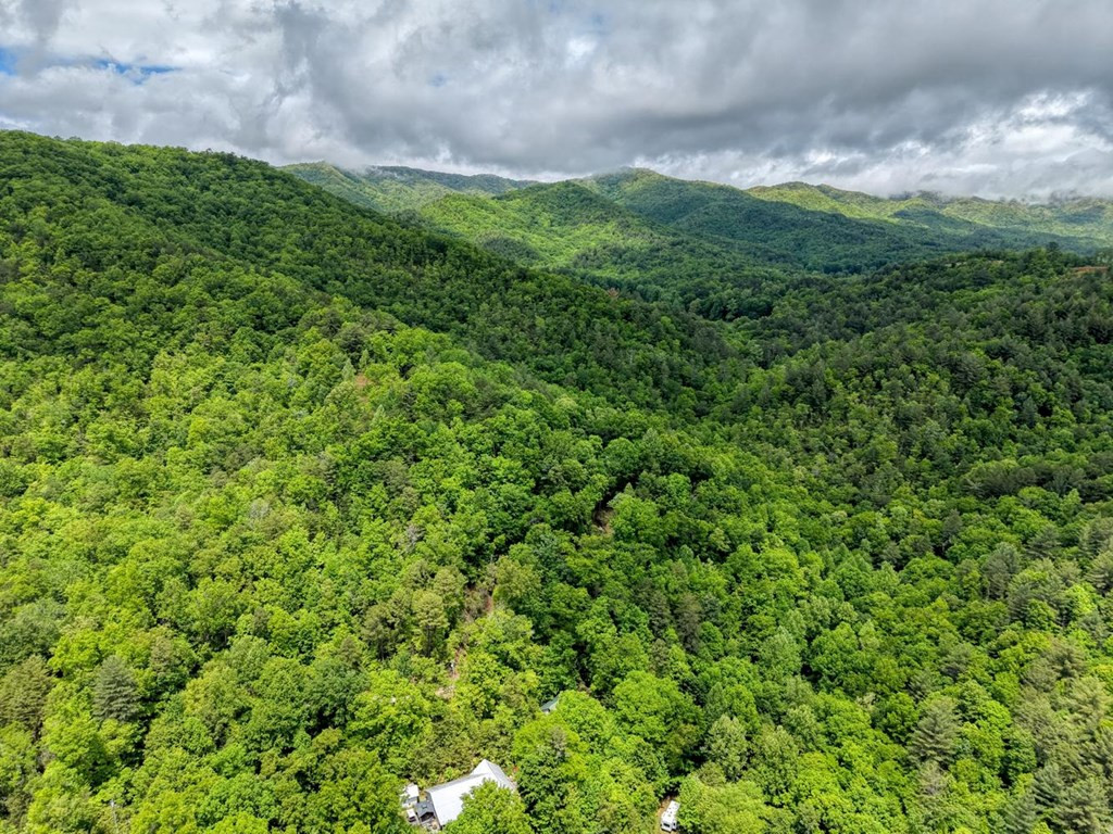 477 Little Snowbird Trail, Marble, NC 28905 Listing Photo  49