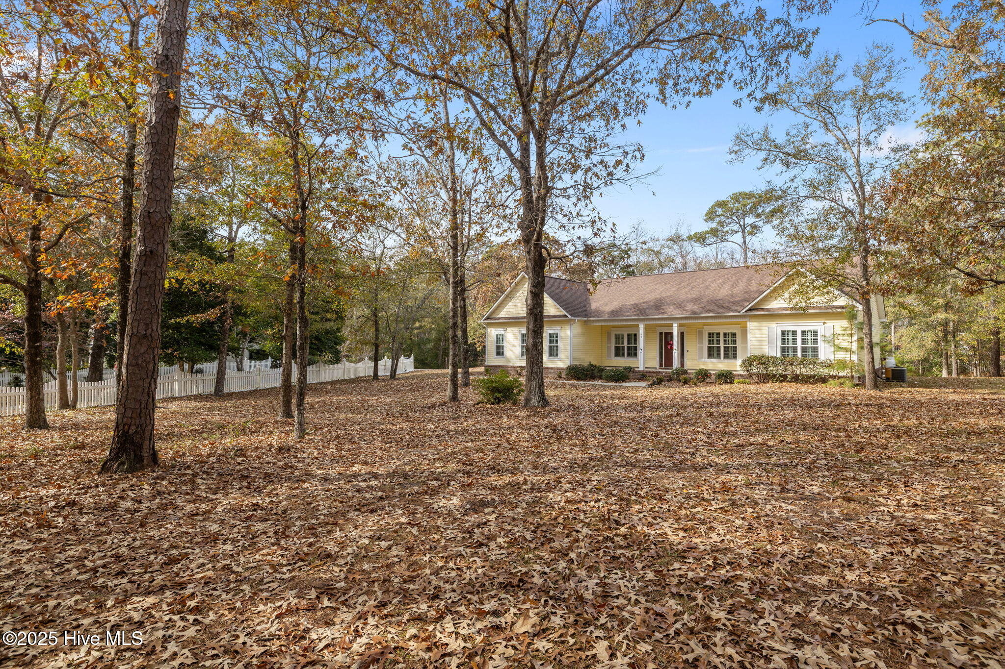 100544125 | Photo 45