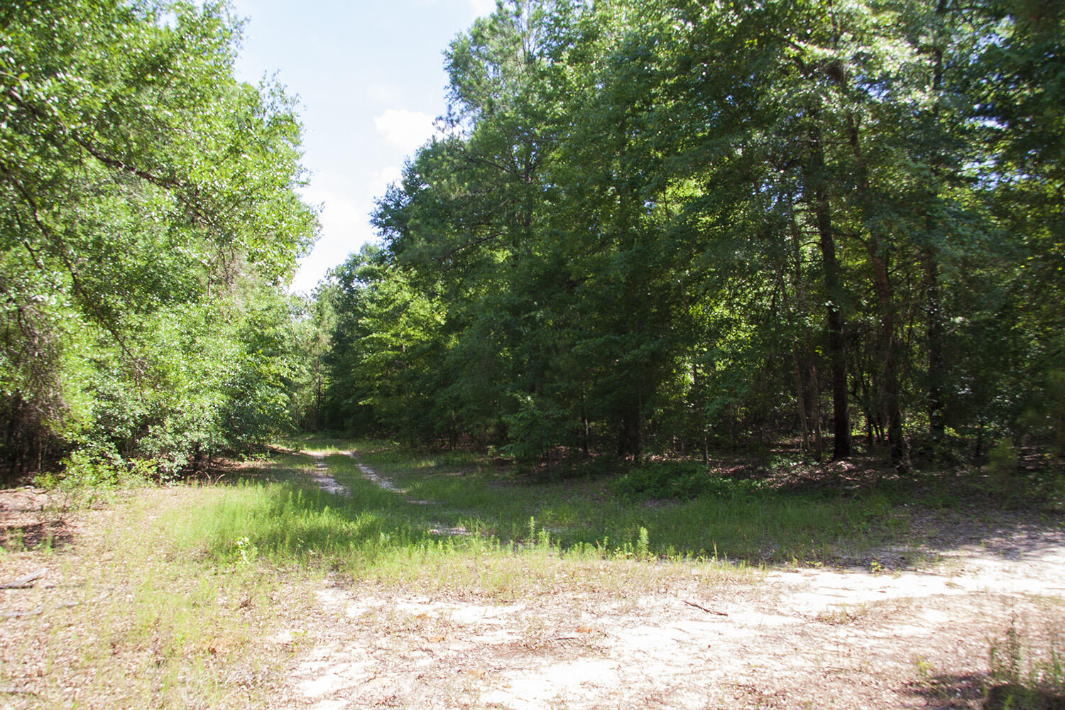 1515C HEPHZIBAH - MCBEAN Road, Hephzibah, GA, 30815