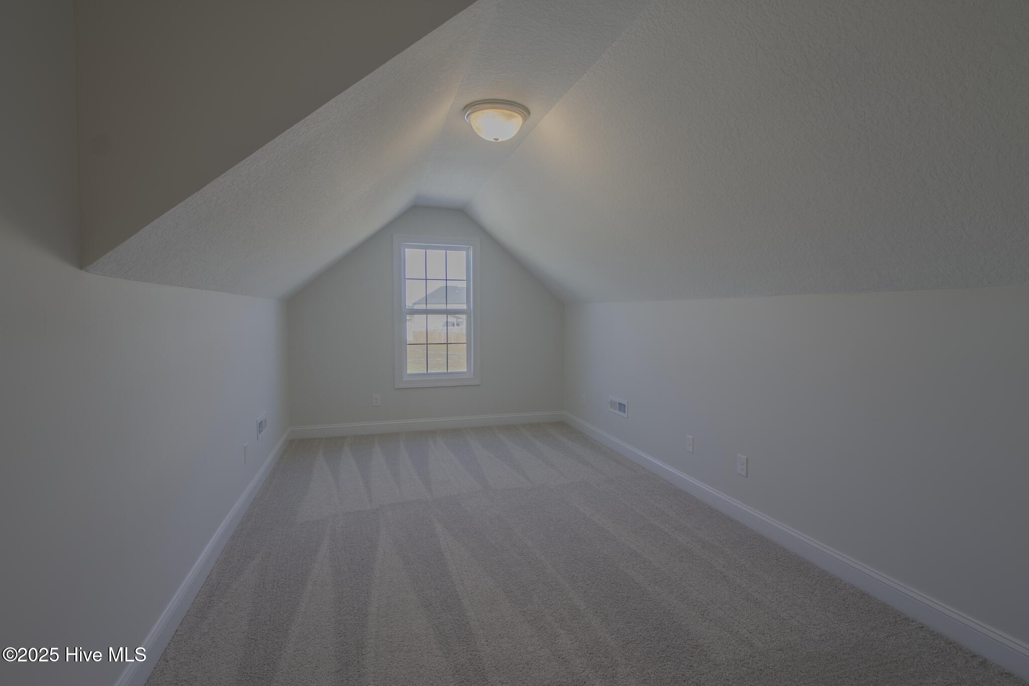 100494153 | Photo 24