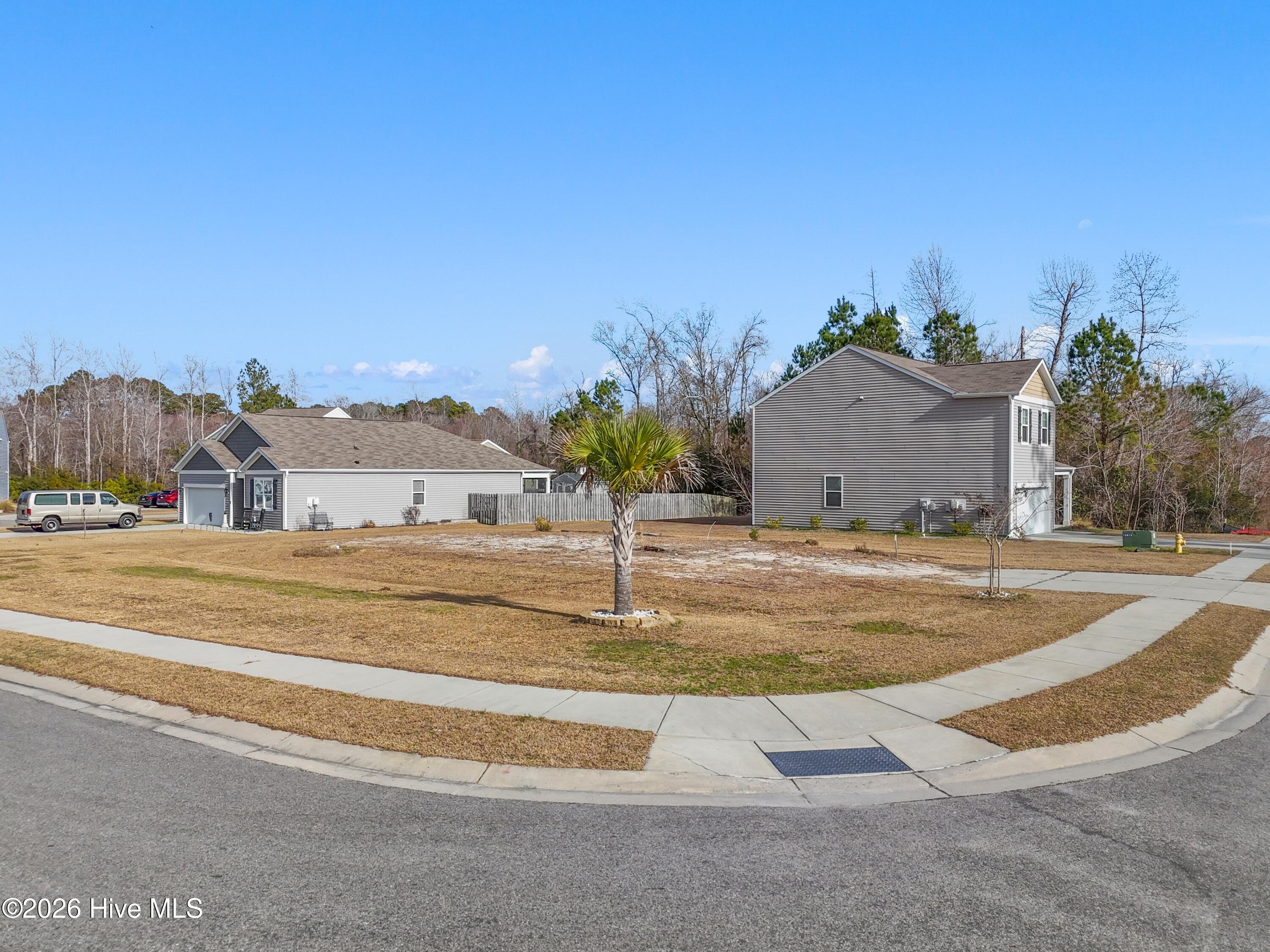 100551003 | Photo 10