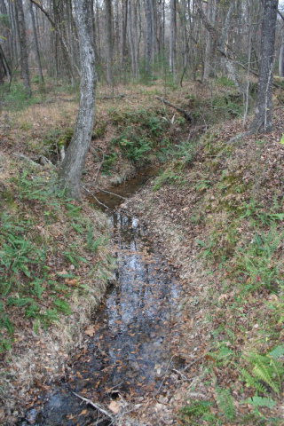 Double Branches Road, Lincolnton, GA 30817 Listing Photo  19