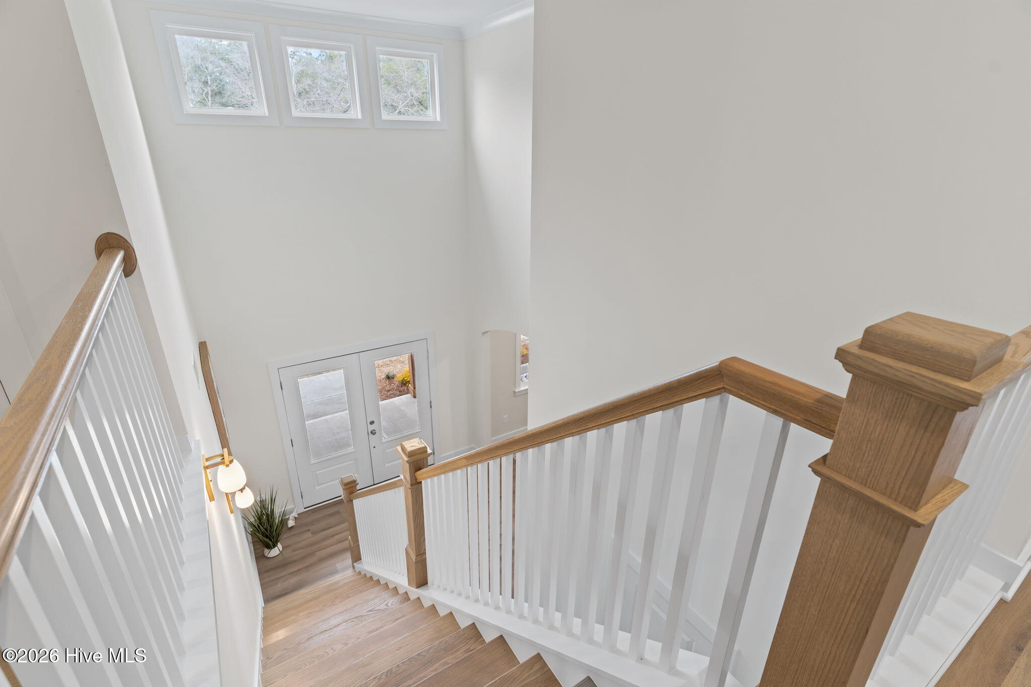 100558259 | Photo 23