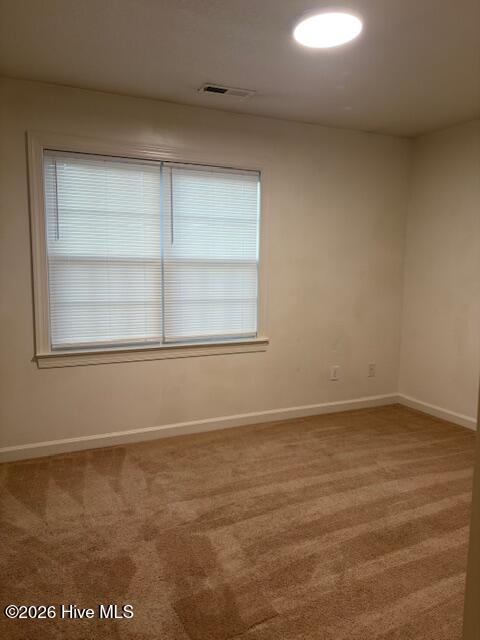 100565556 | Photo 14