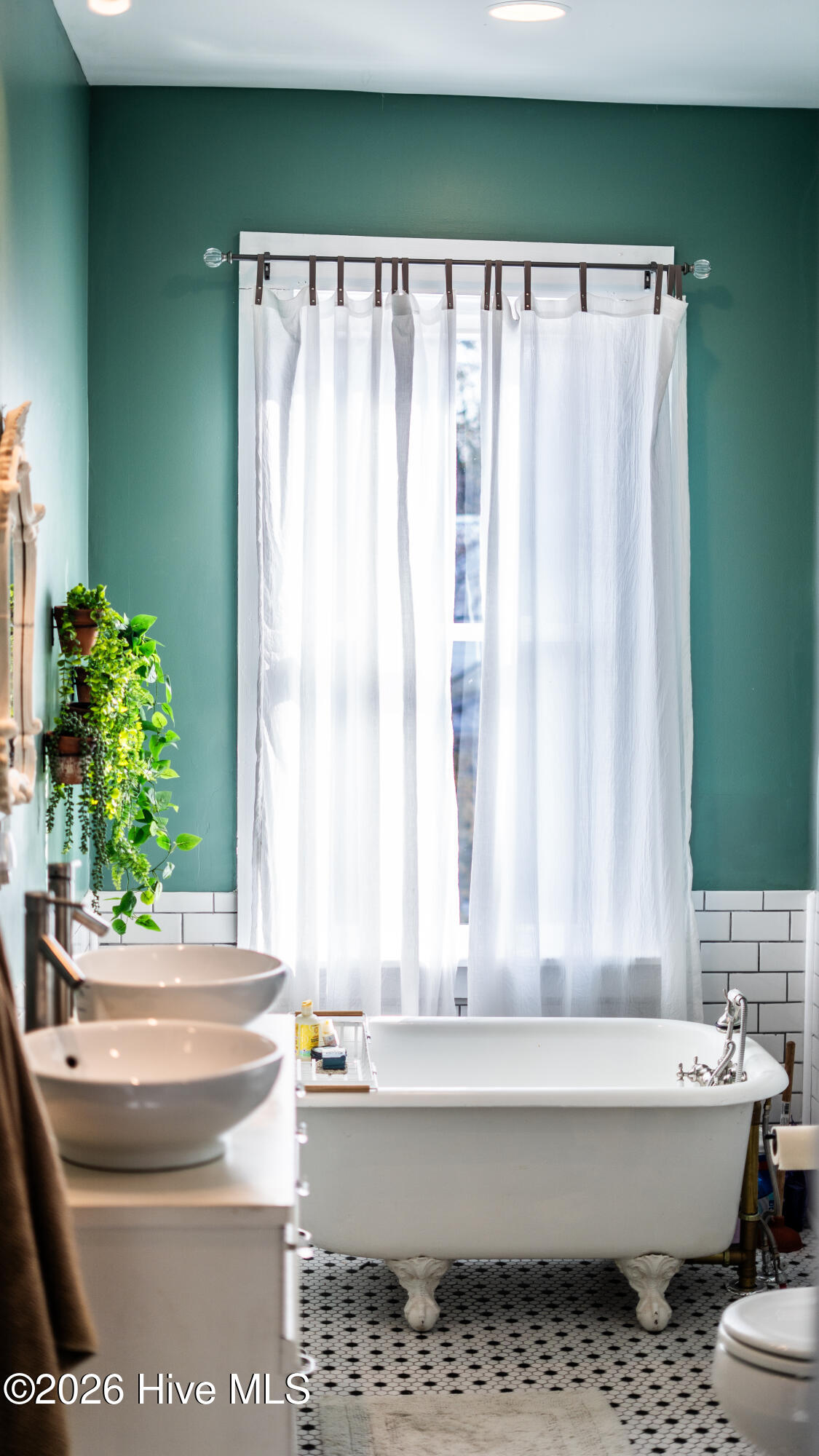 100559756 | Photo 21