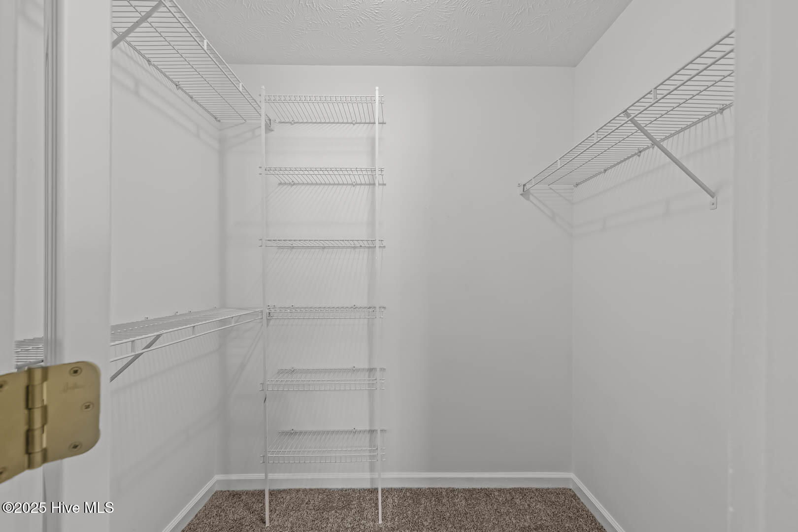 100538607 | Photo 33