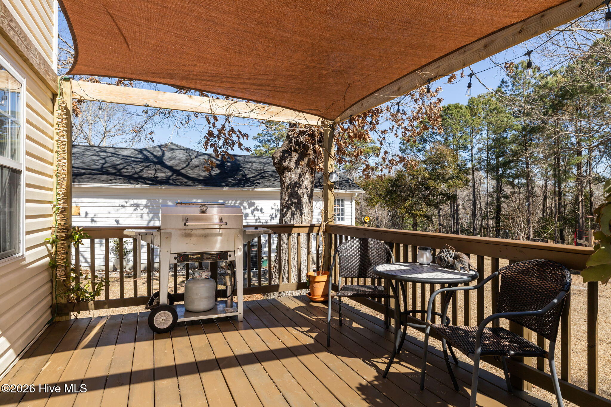 100558206 | Photo 31