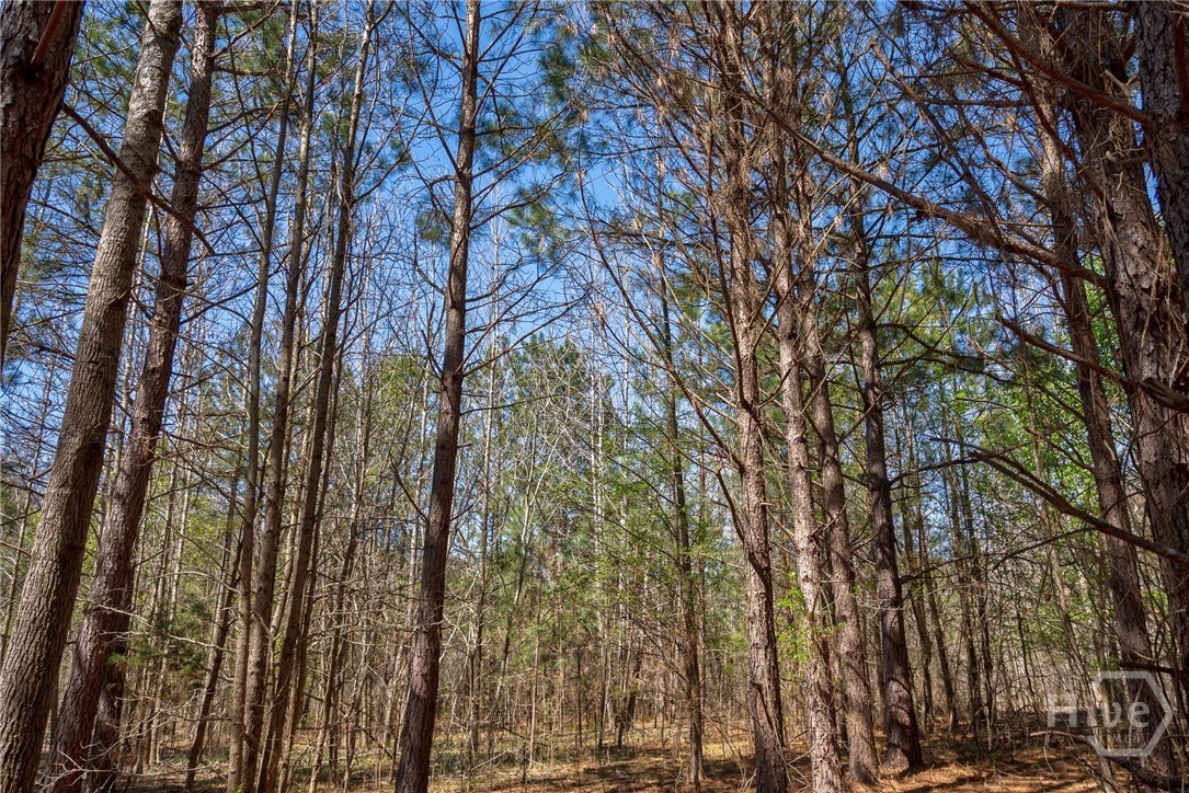 0 Poplar Street, Monroe, GA, 30655