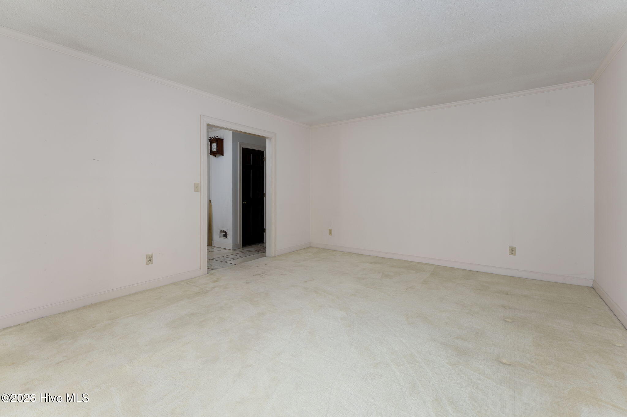 100566368 | Photo 15