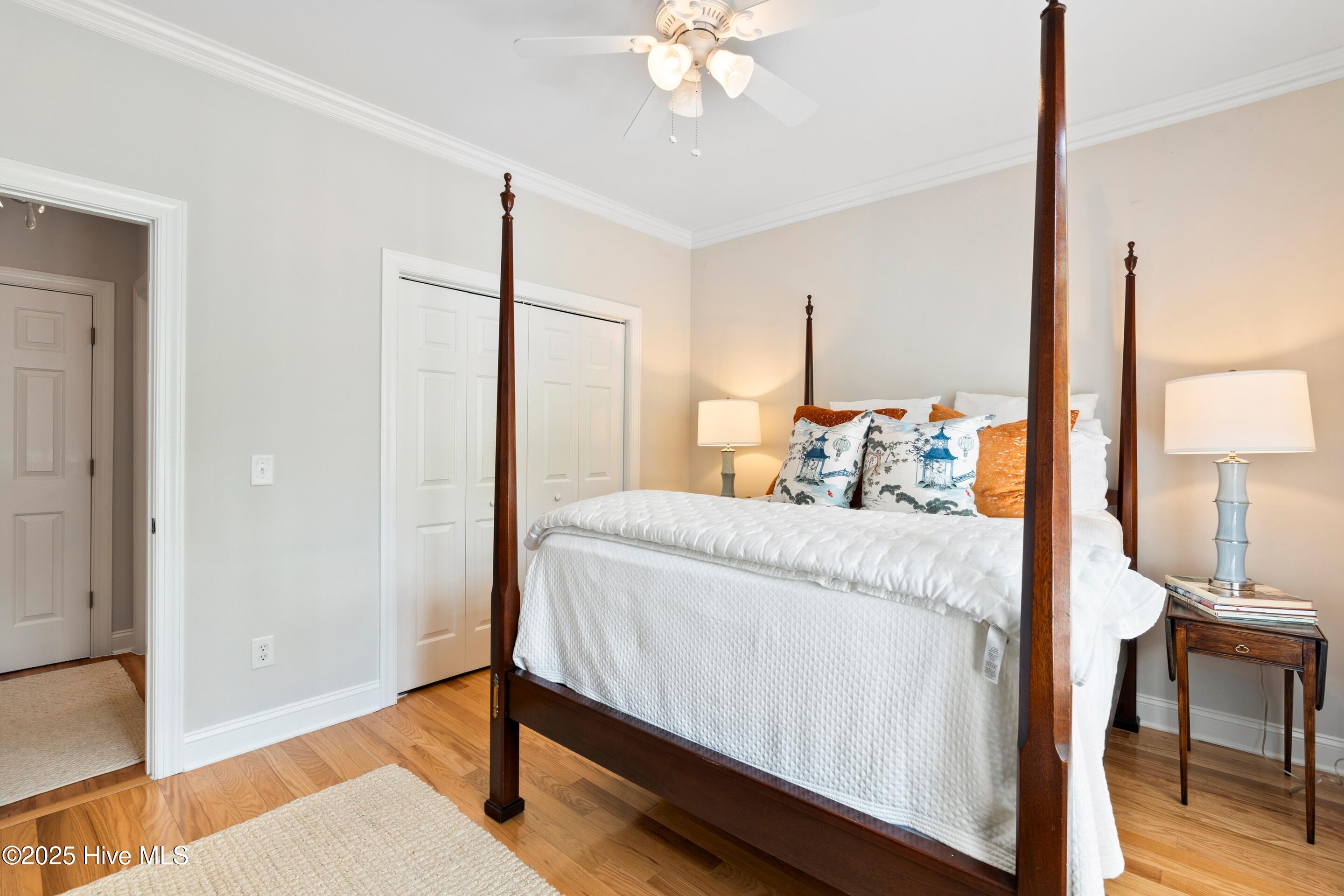 100520389 | Photo 49