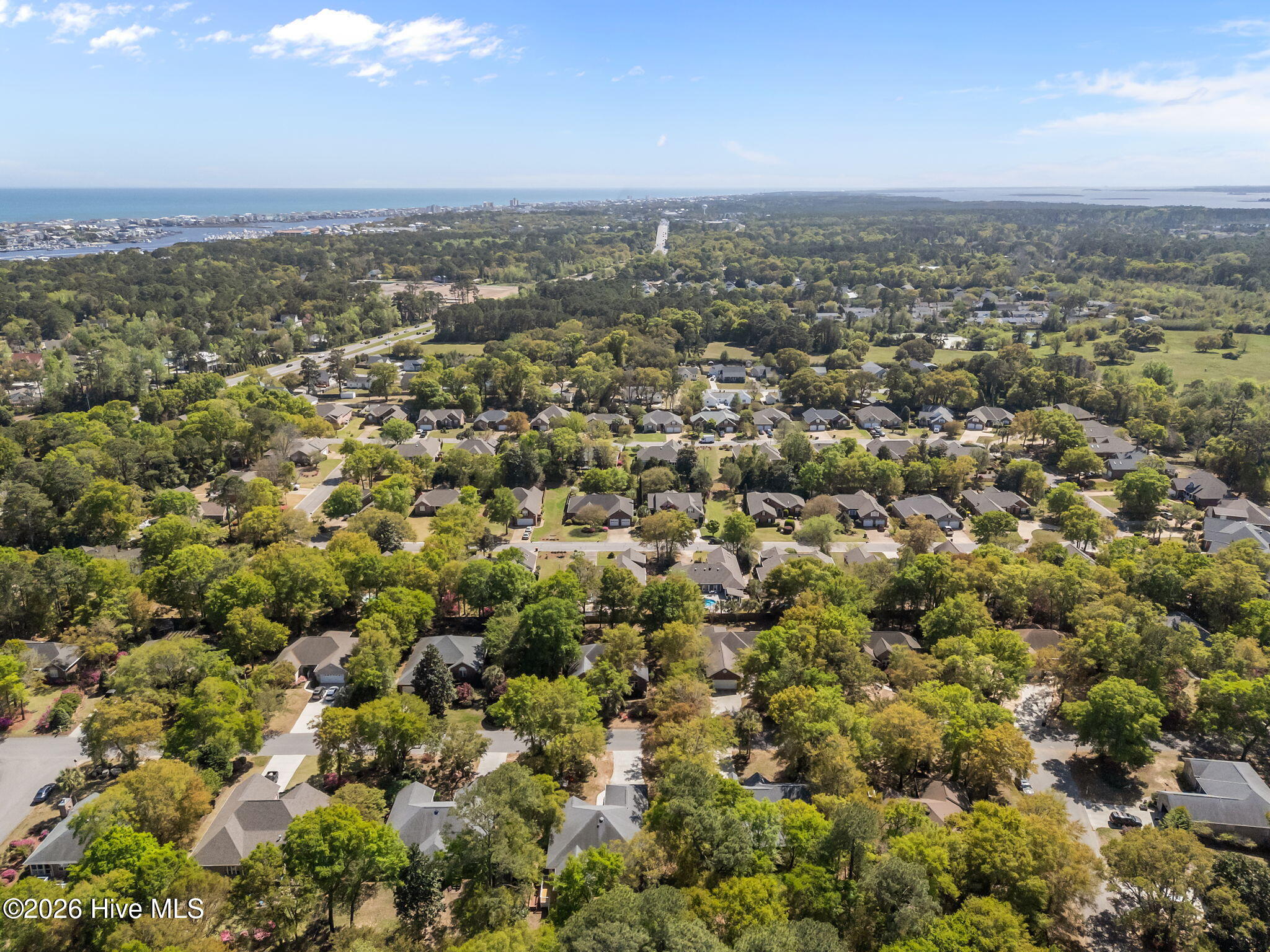 100565188 | Photo 48