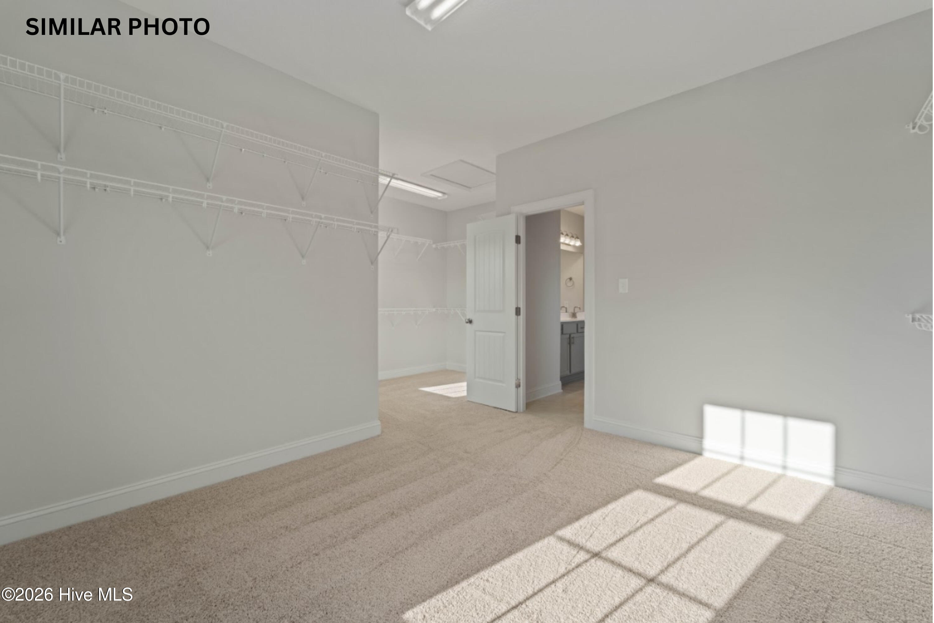 100556384 | Photo 23