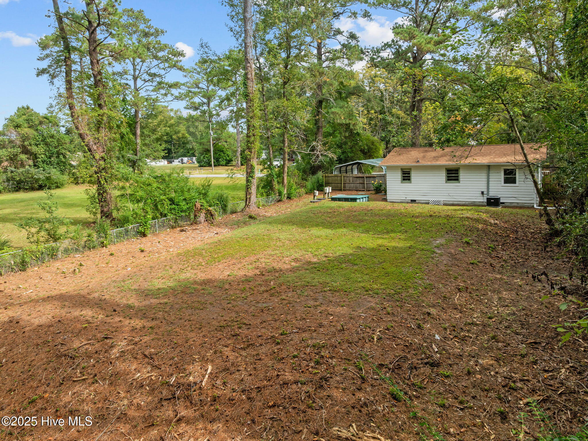 100536002 | Photo 45