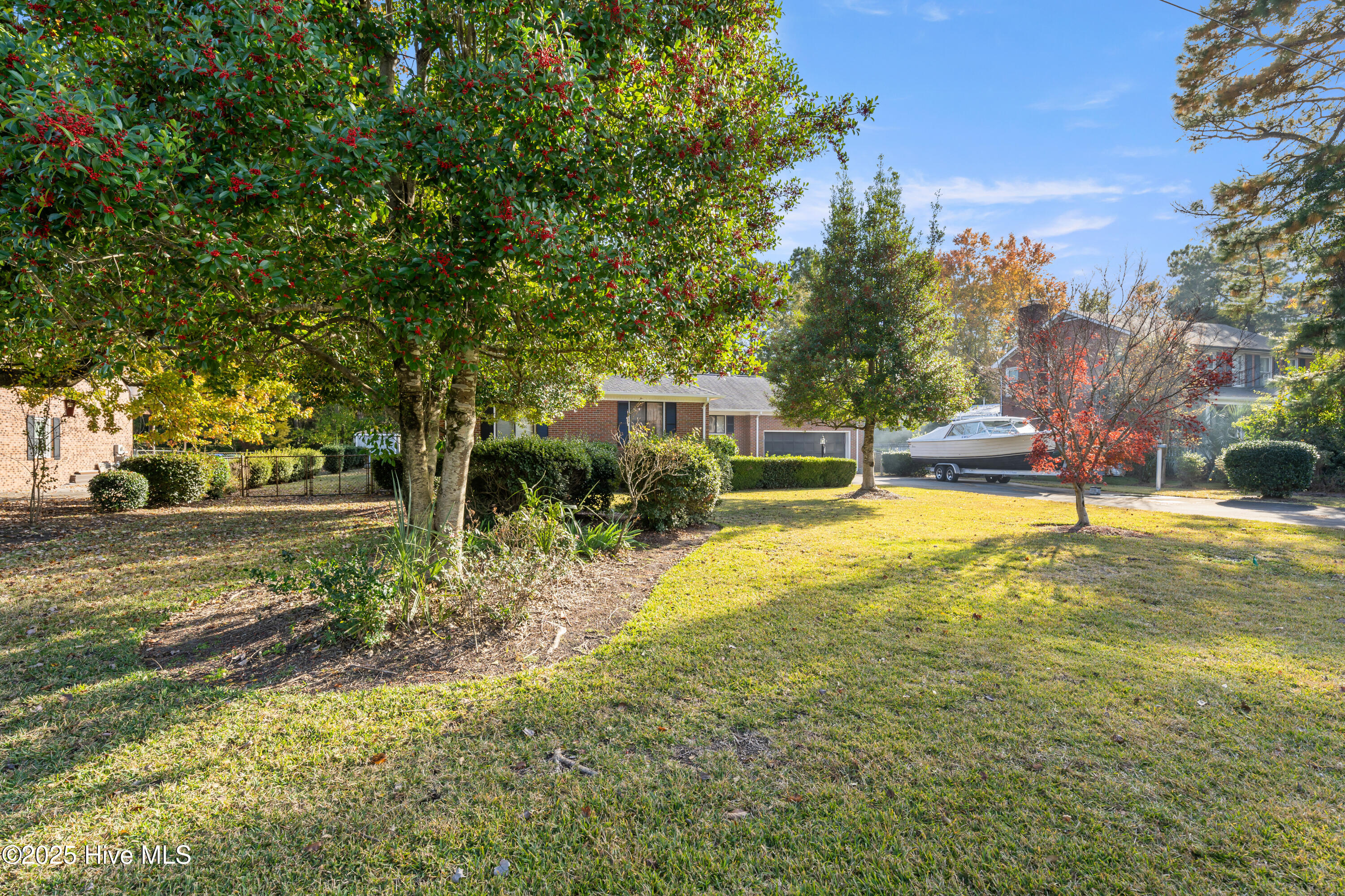 100542635 | Photo 53