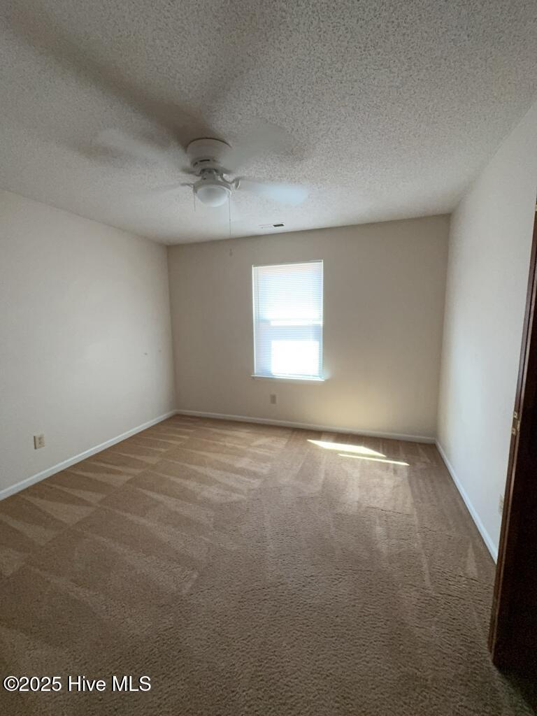 100534666 | Photo 13