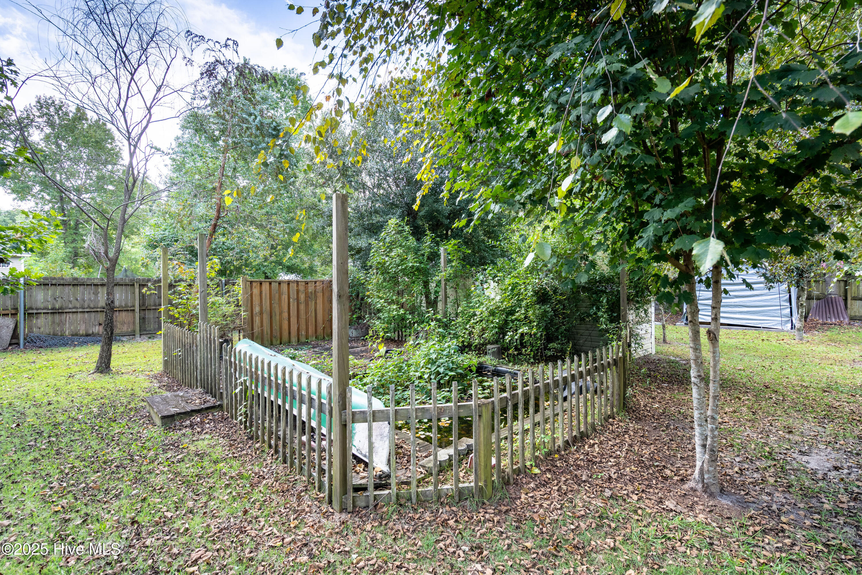 100535124 | Photo 20