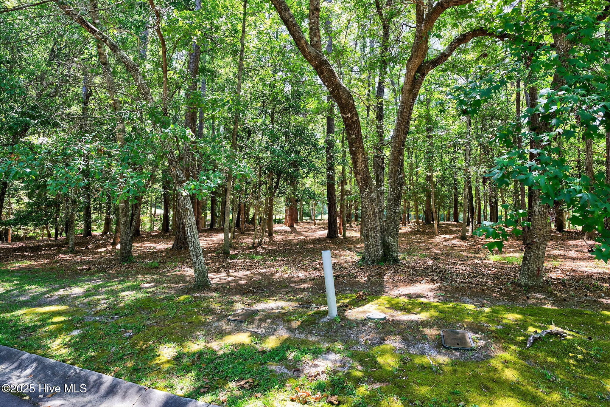 100519533 | Photo 13