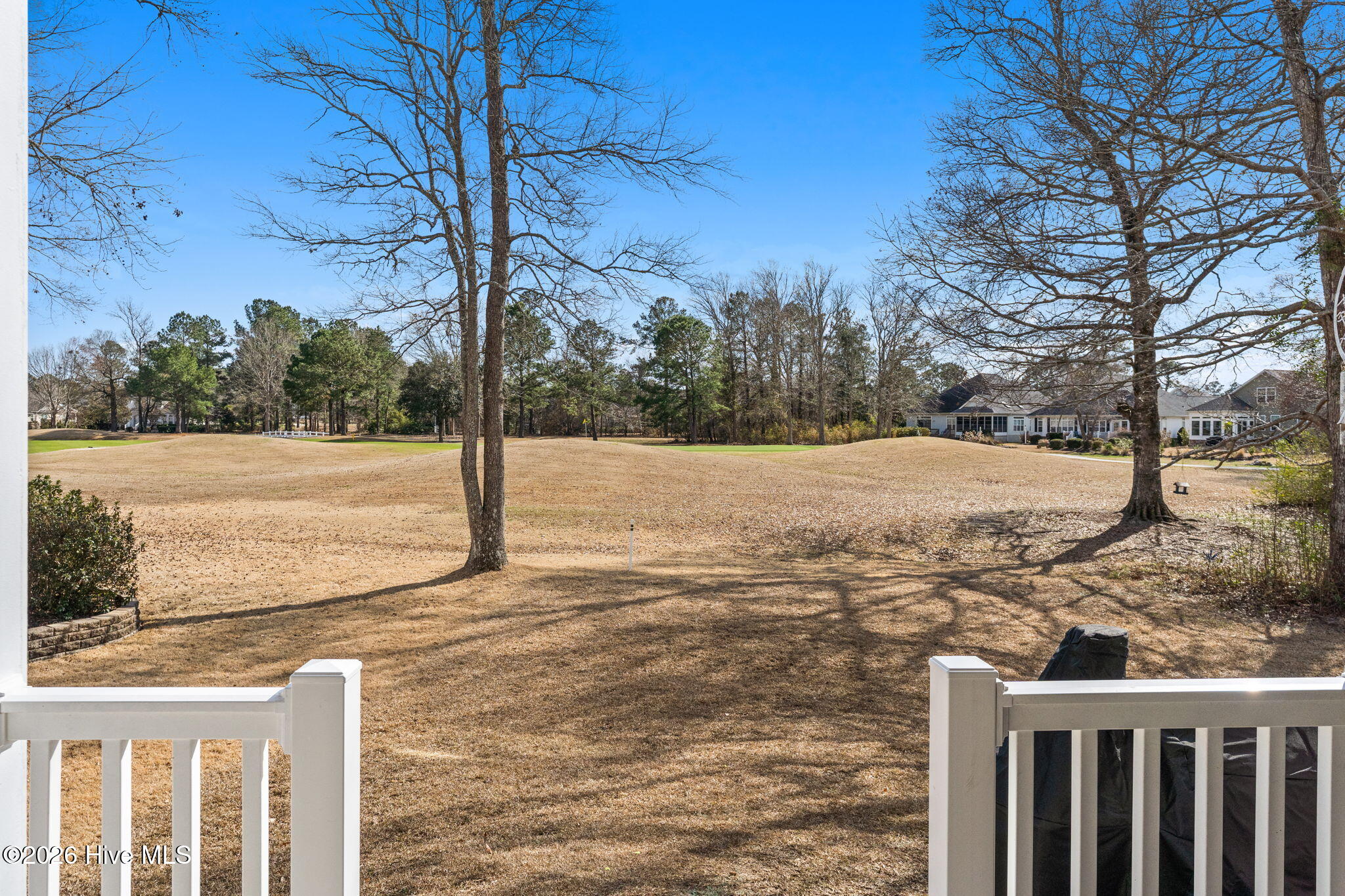 100555775 | Photo 45