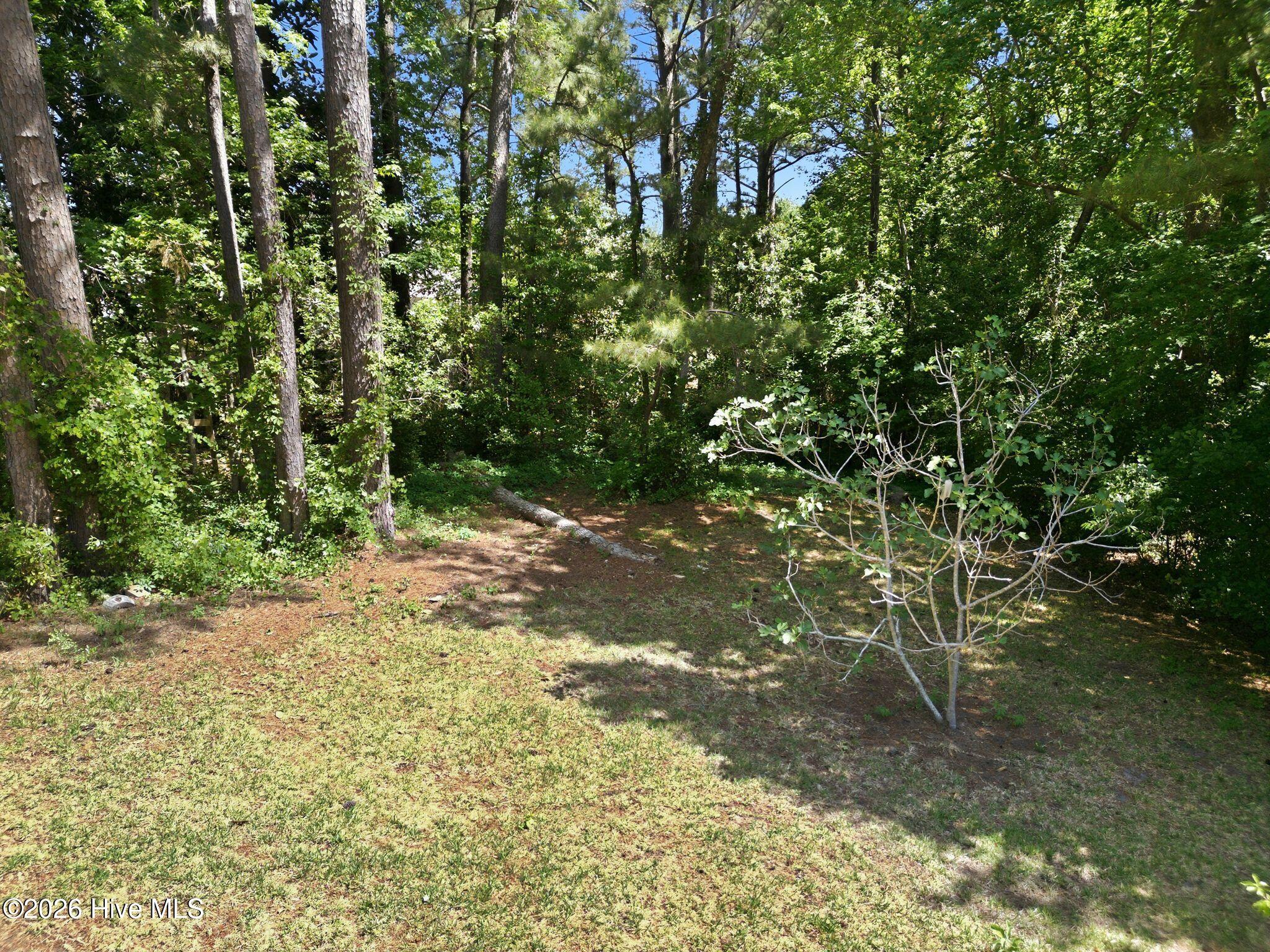 100568966 | Photo 62