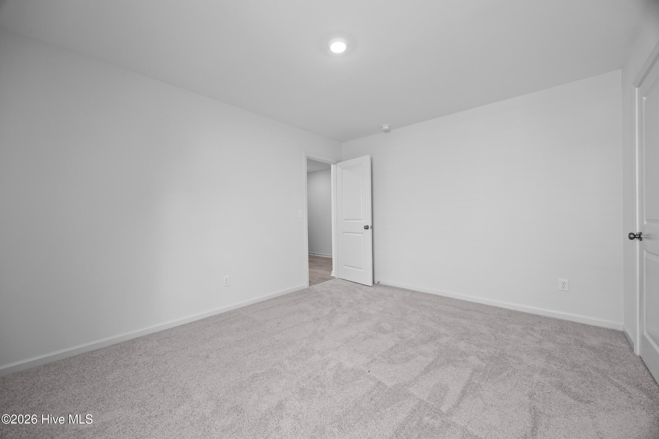 100570043 | Photo 11