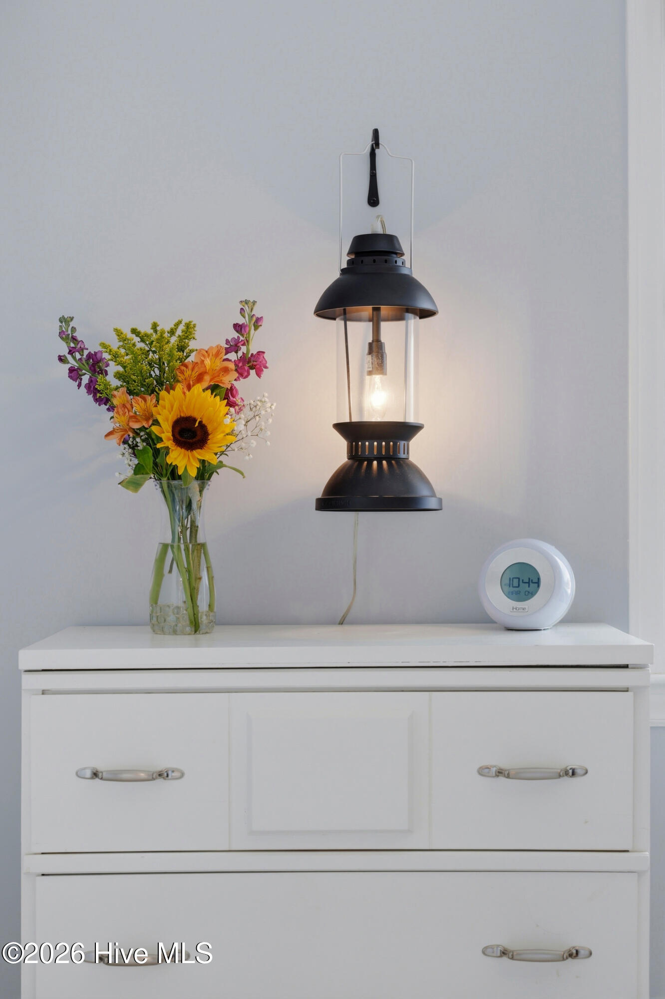 100559731 | Photo 42