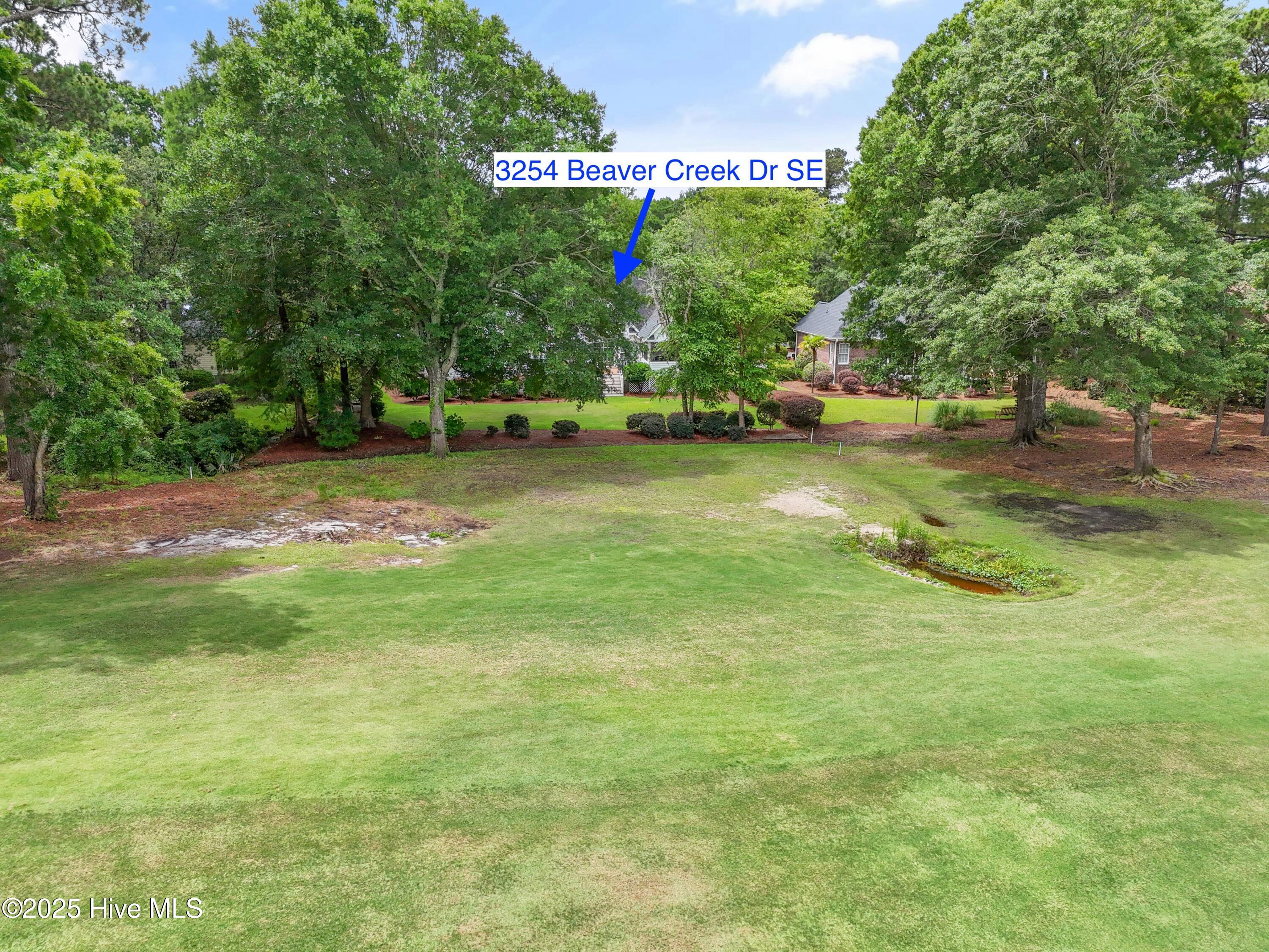 100512270 | Photo 59