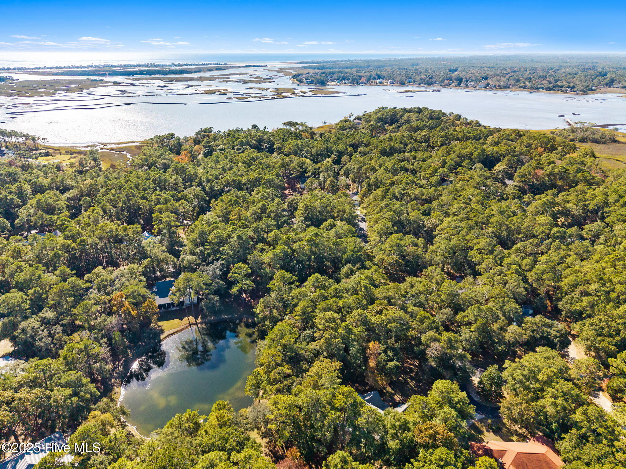 100540561 | Photo 10