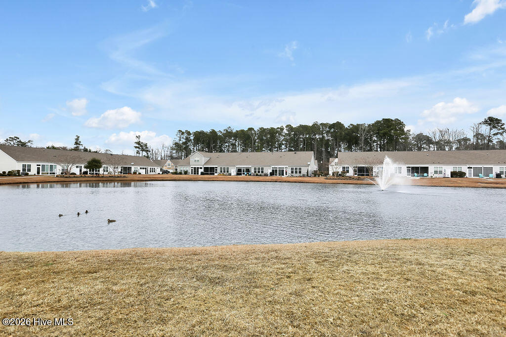 100553191 | Photo 32