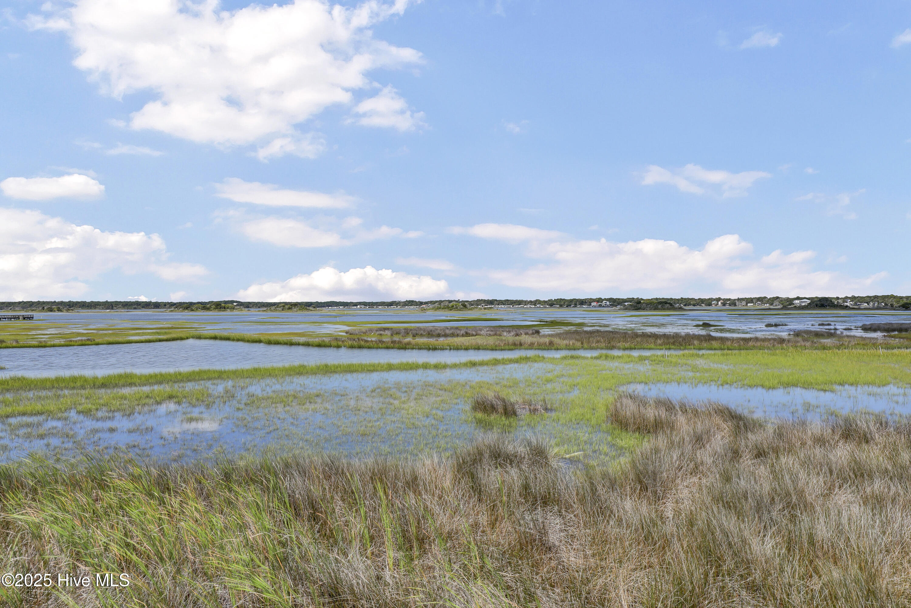 100555615 | Photo 12