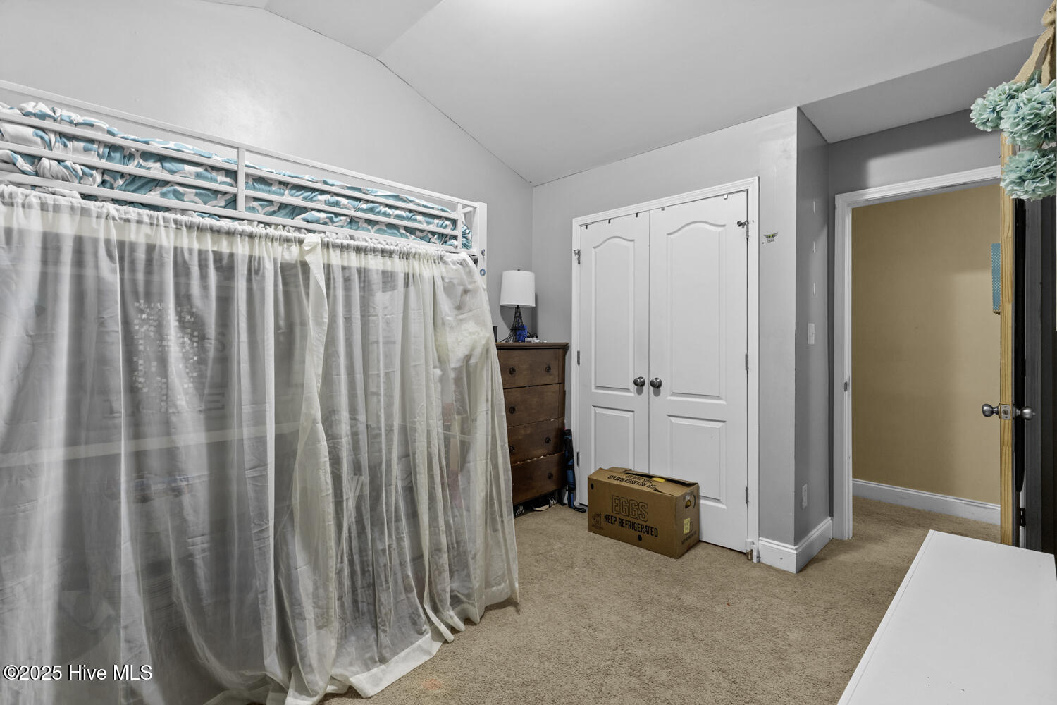 100544554 | Photo 18