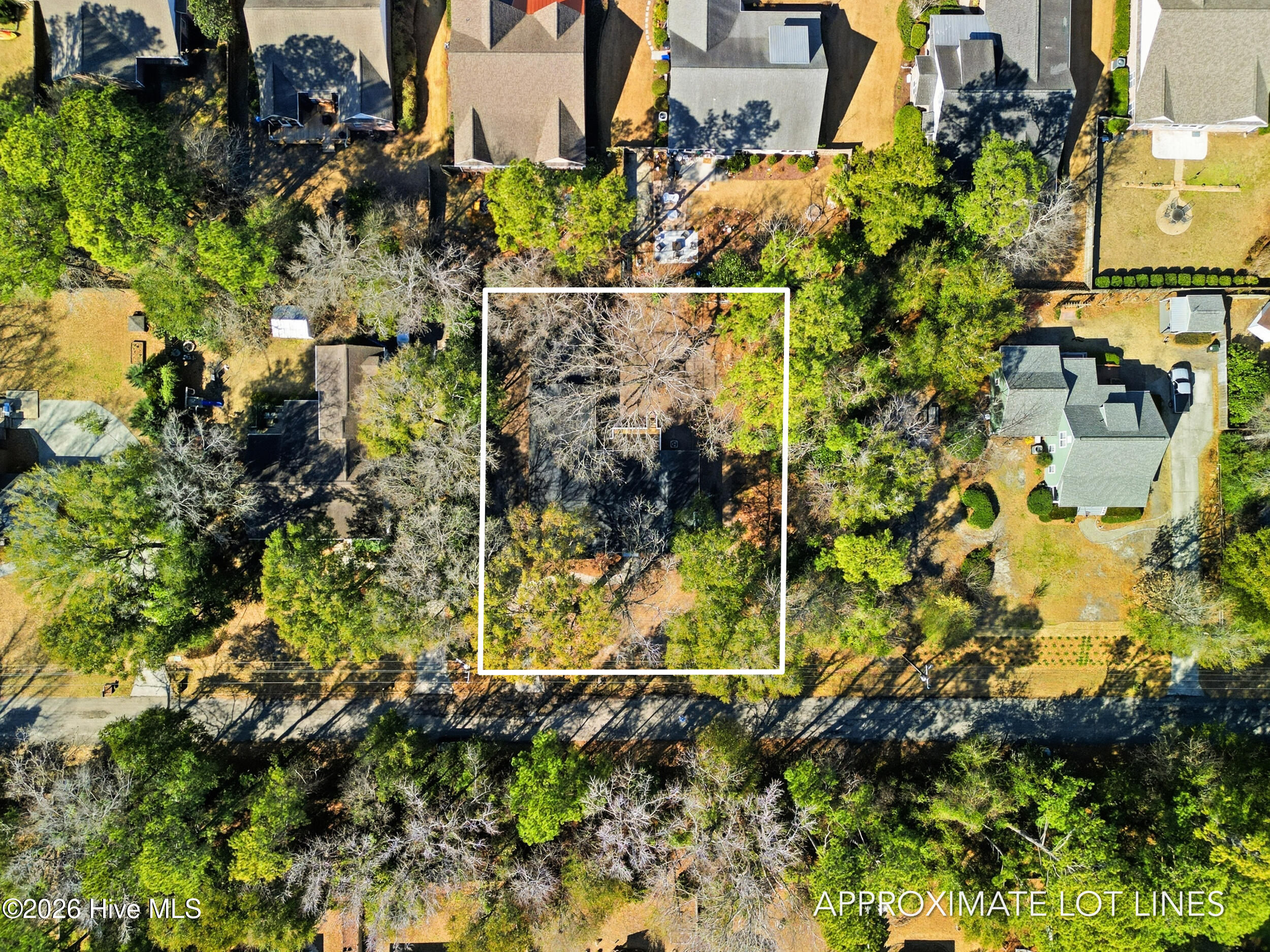 100553868 | Photo 58