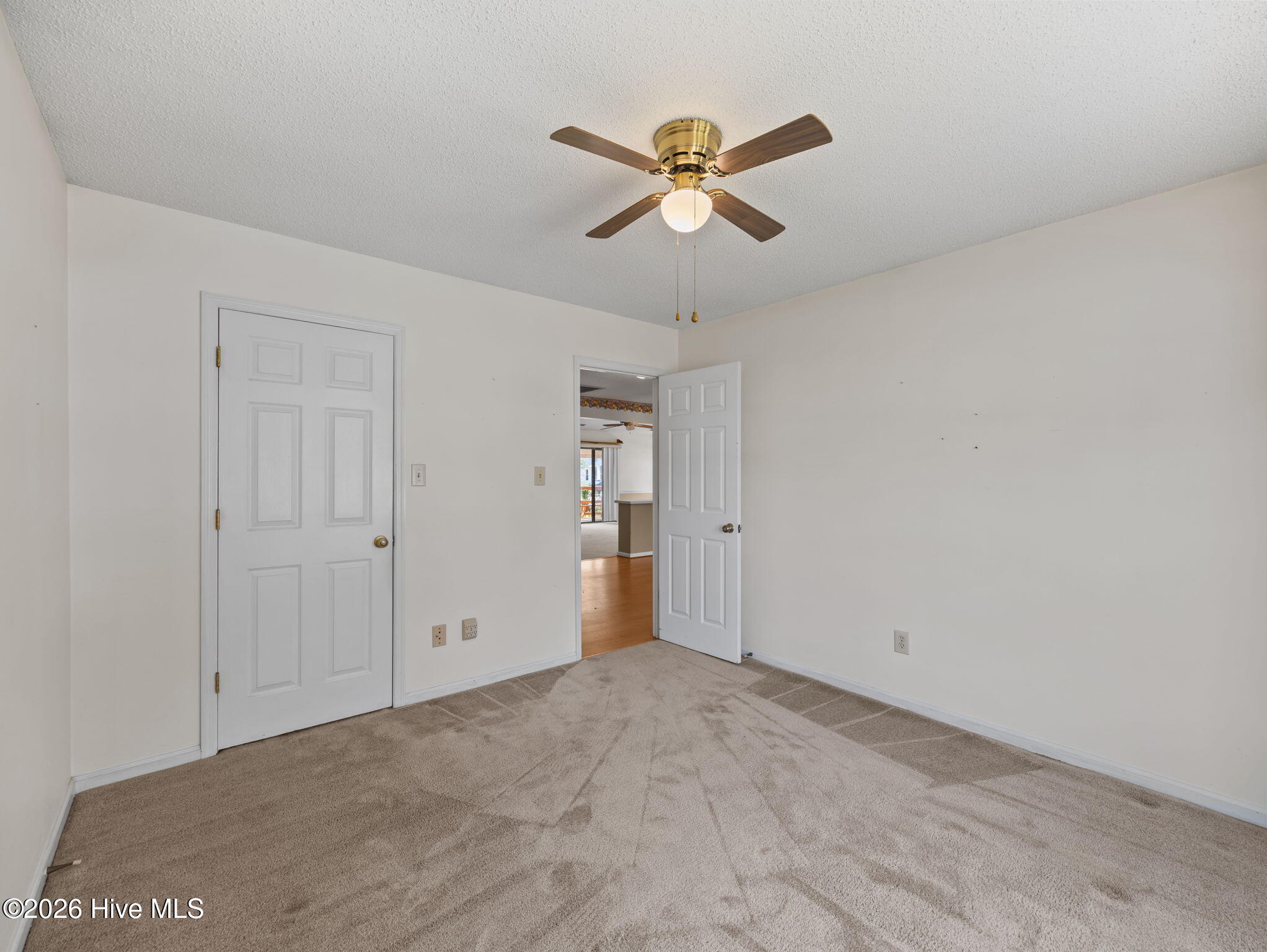 100565742 | Photo 30