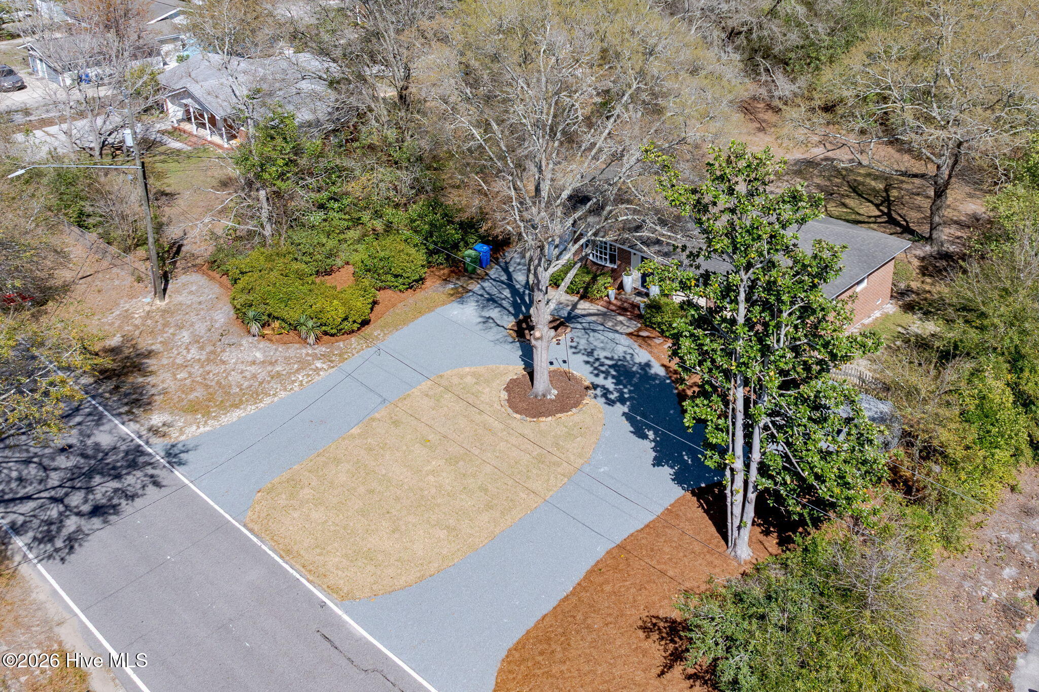 100561167 | Photo 41