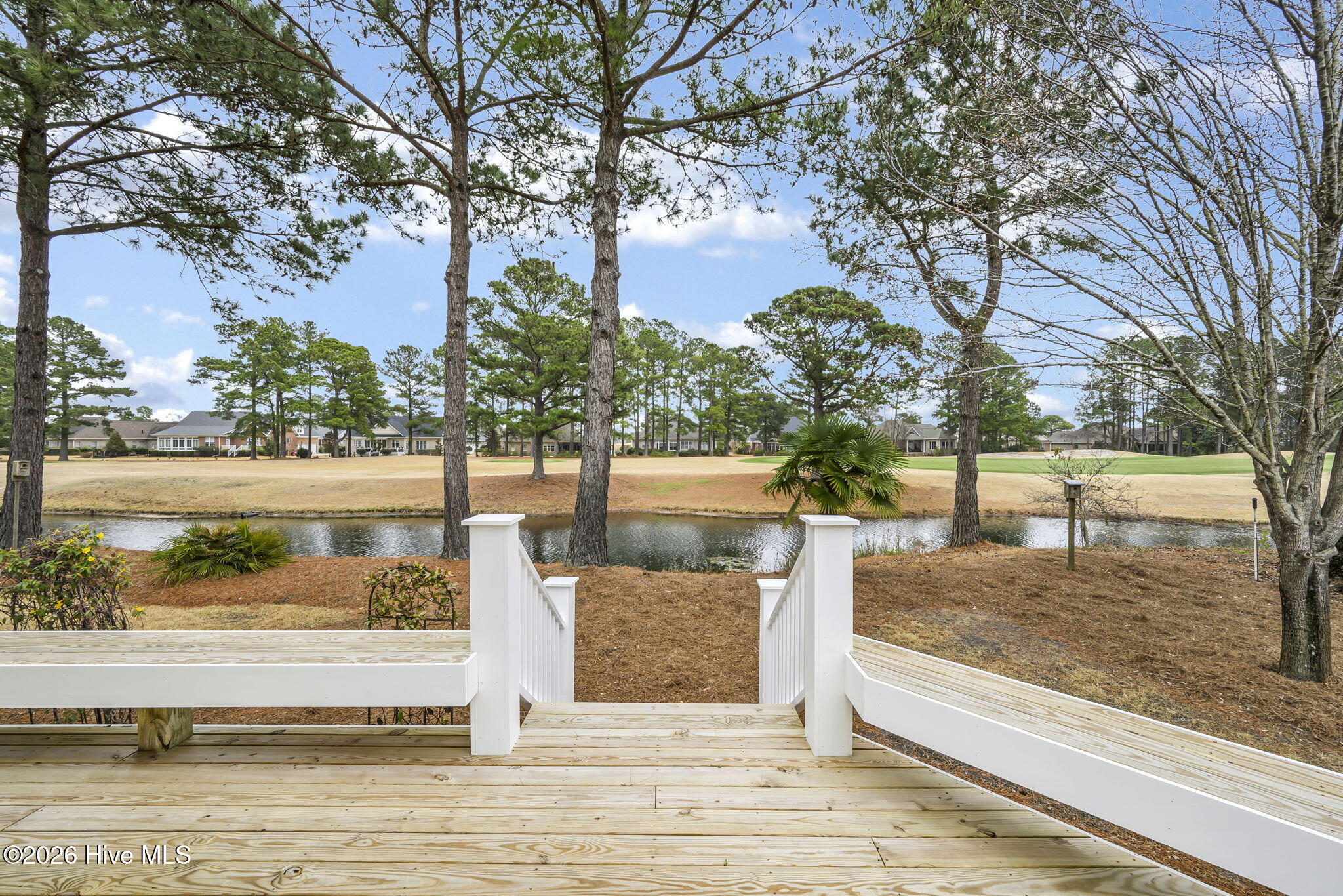 100557033 | Photo 35