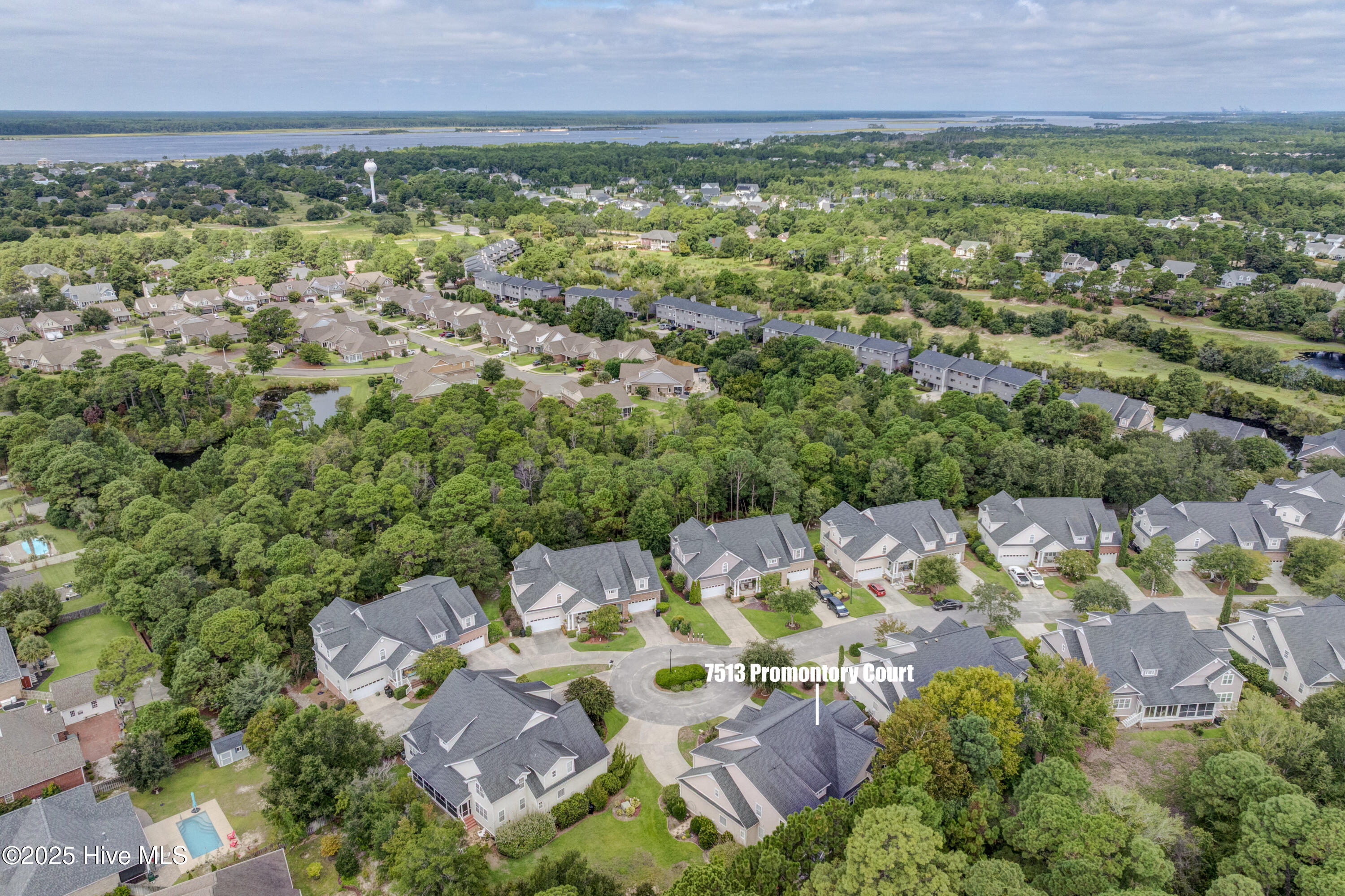 100526585 | Photo 61